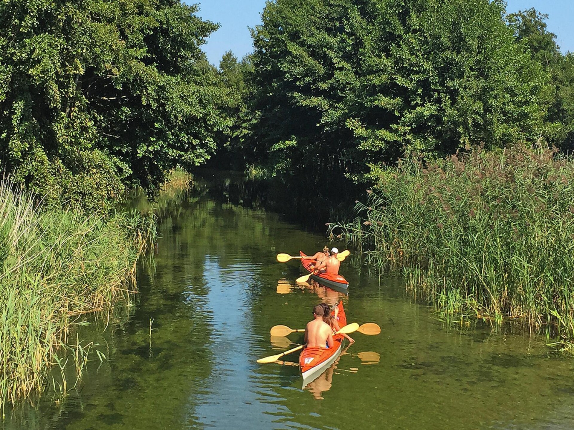 6-persoons vakantiehuis in Debki op 300 meter van zee - foto 30