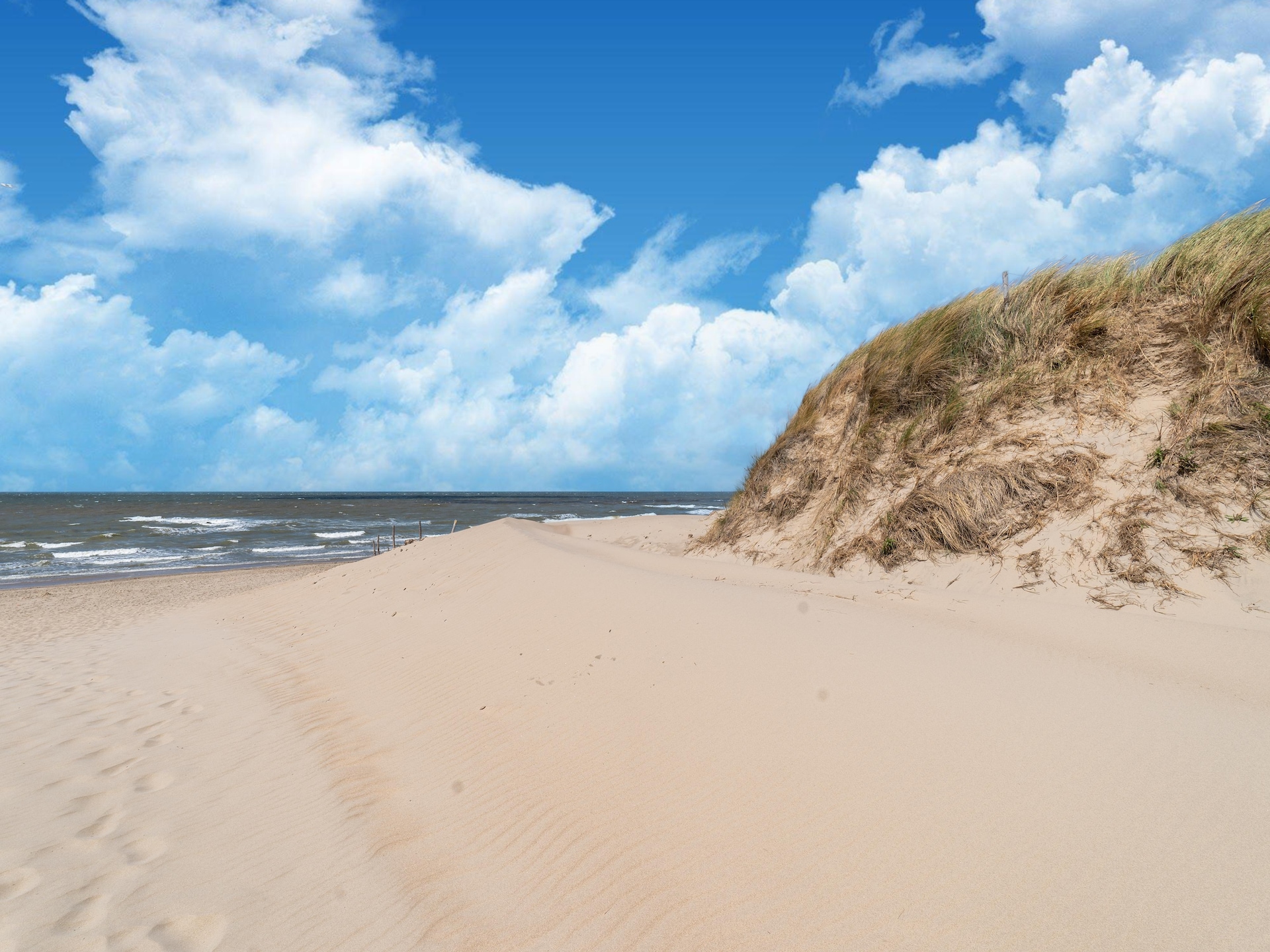 Hazenborgh - Wagenboet: luxe wellnessvakantiehuis bij golfbaan en strand - foto 36