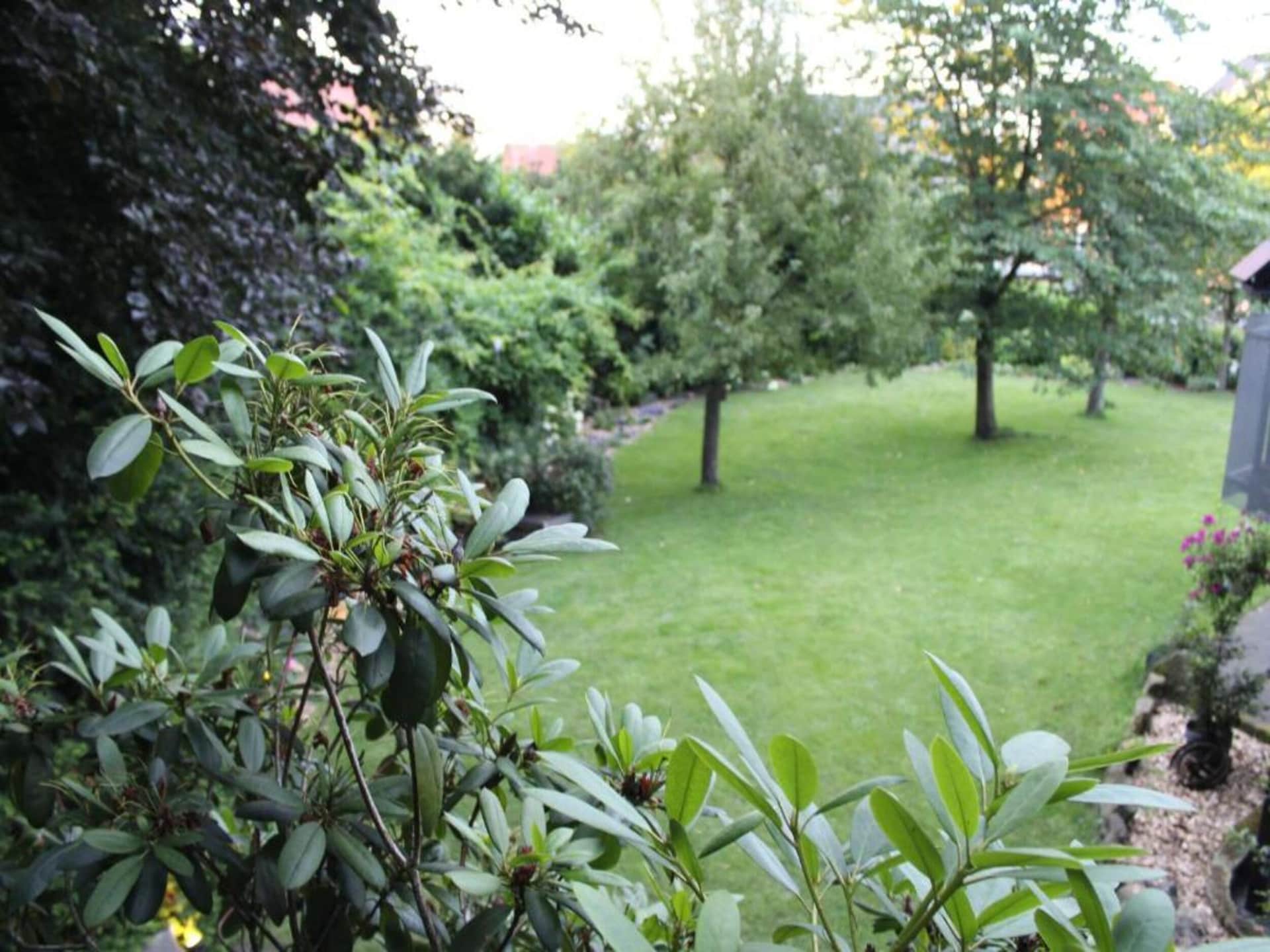 Gerenoveerd vakantiehuis voor 7 personen in Bad Bentheim - foto 32