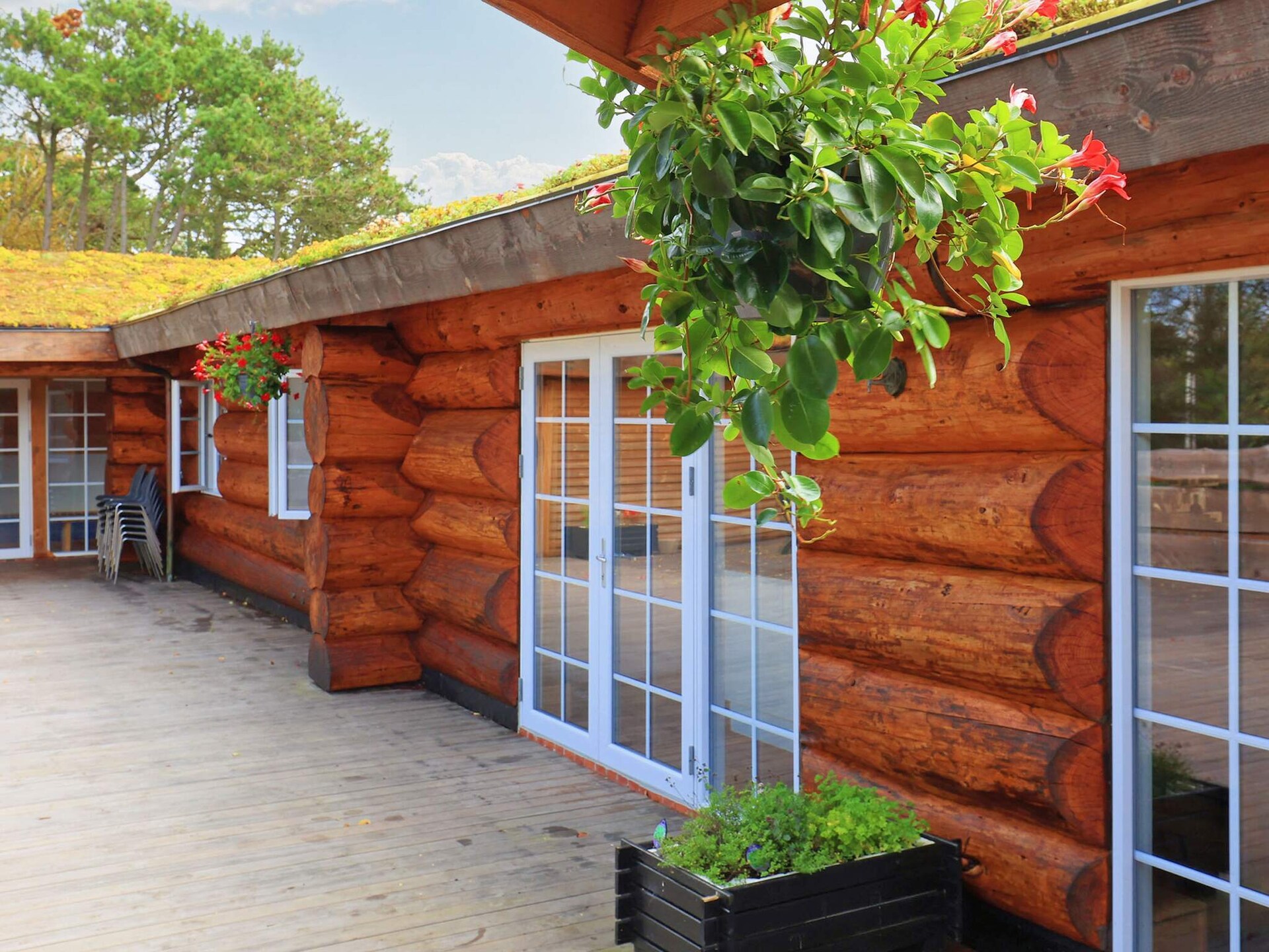 24-persoons vakantiehuis in Læsø met binnenpool en sauna - foto 5