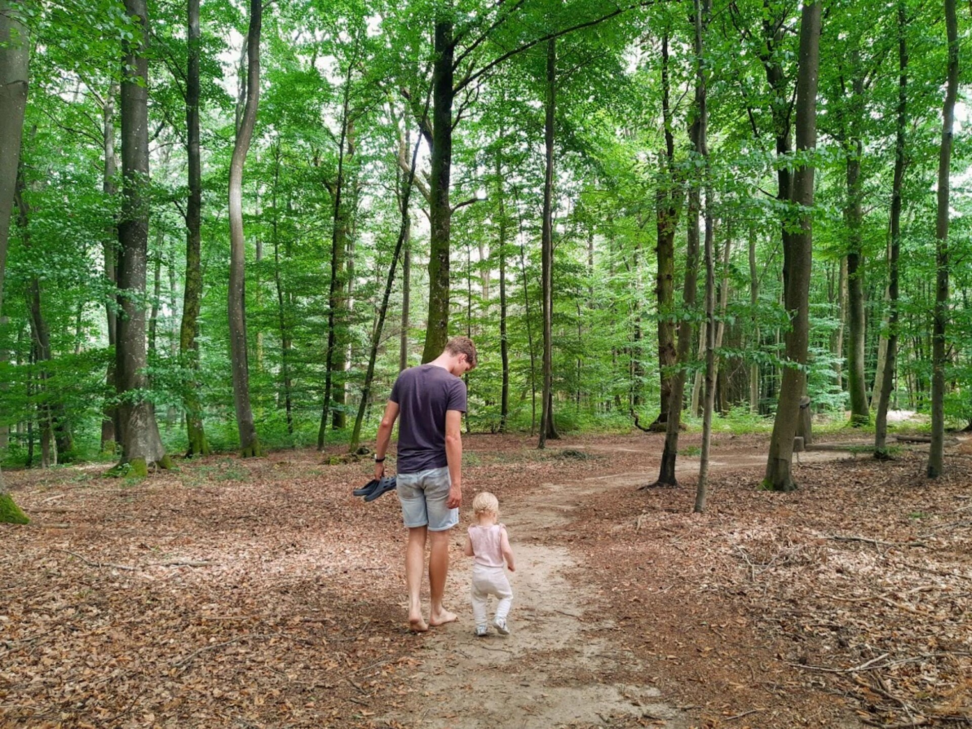 Tentlodge voor 5 op natuurcamping bij Larochette, Luxemburg - foto 9