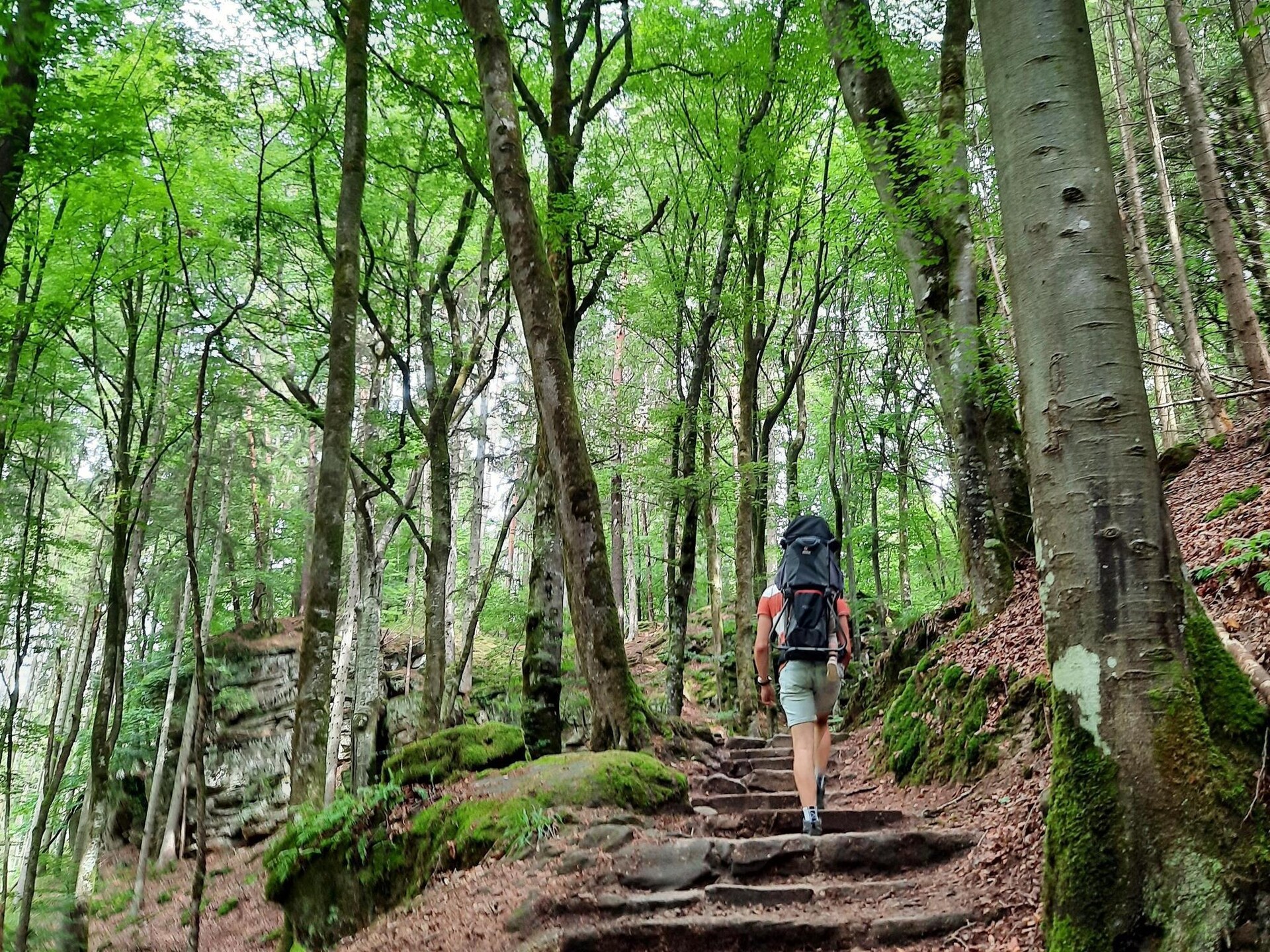Tentlodge voor 5 op natuurcamping bij Larochette, Luxemburg - foto 8