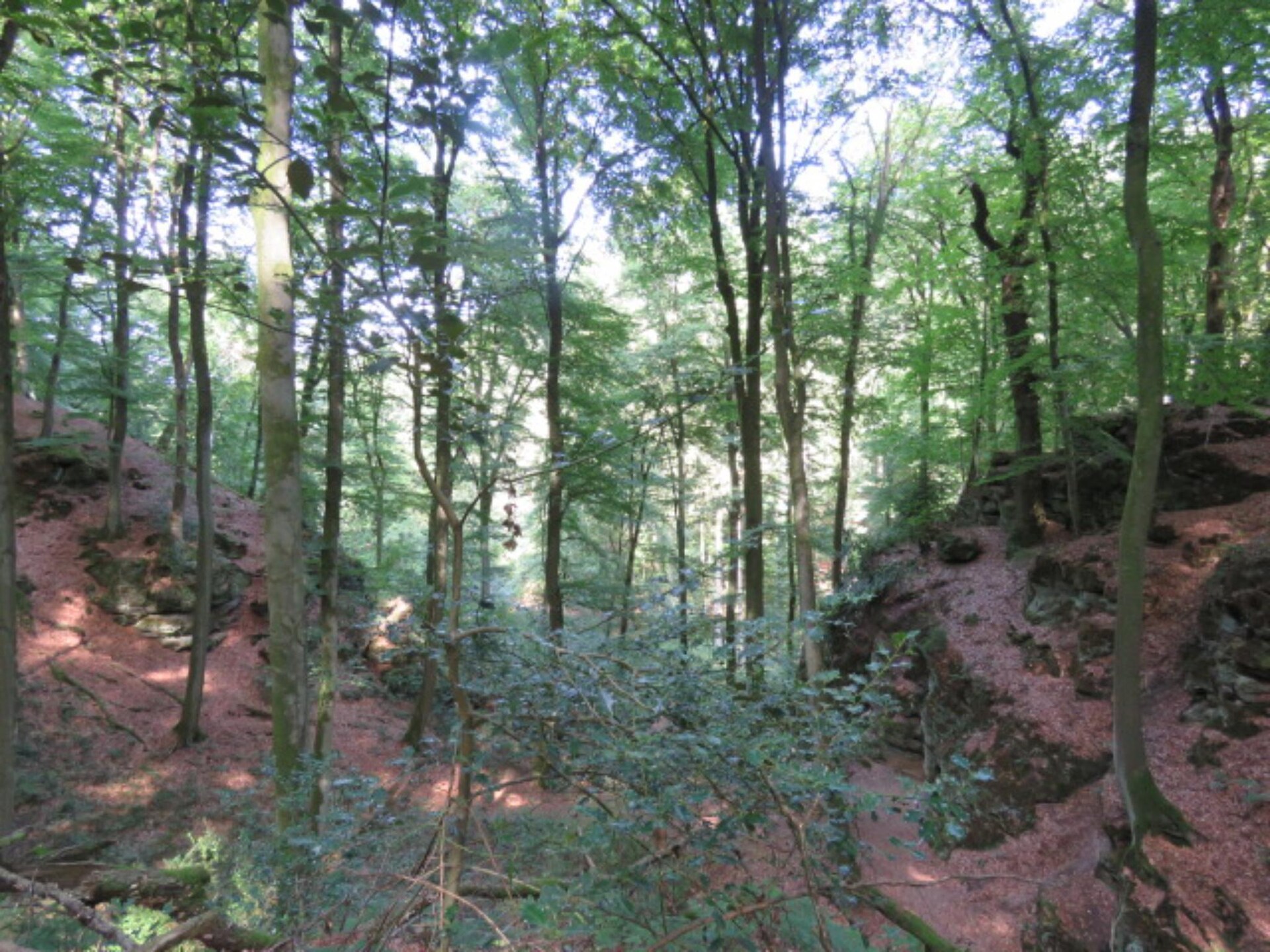 Safaritent voor 5 personen op bosrijke camping in Nommern, Luxemburg - foto 18