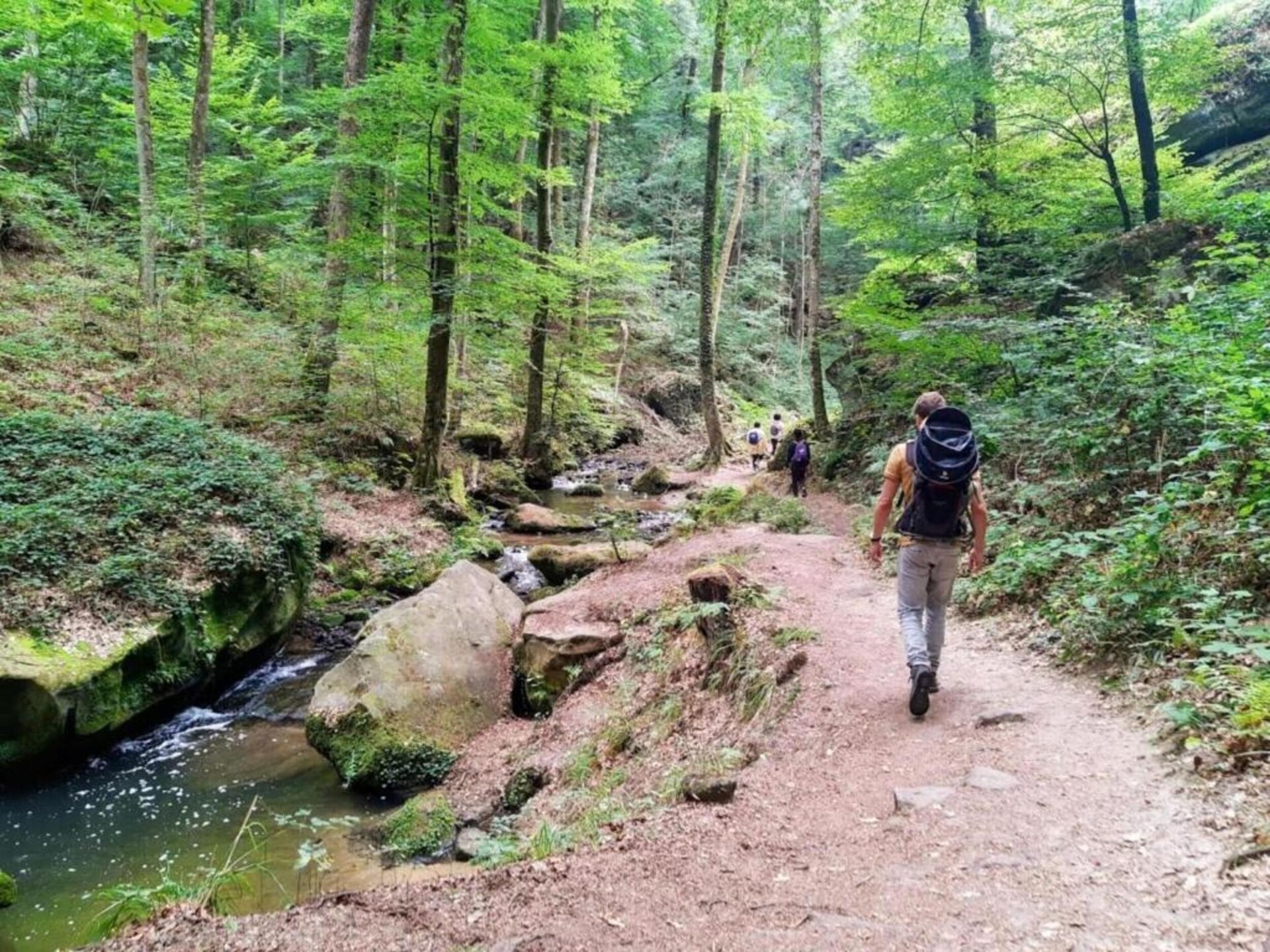 Safaritent voor 5 personen op bosrijke camping in Nommern, Luxemburg - foto 23