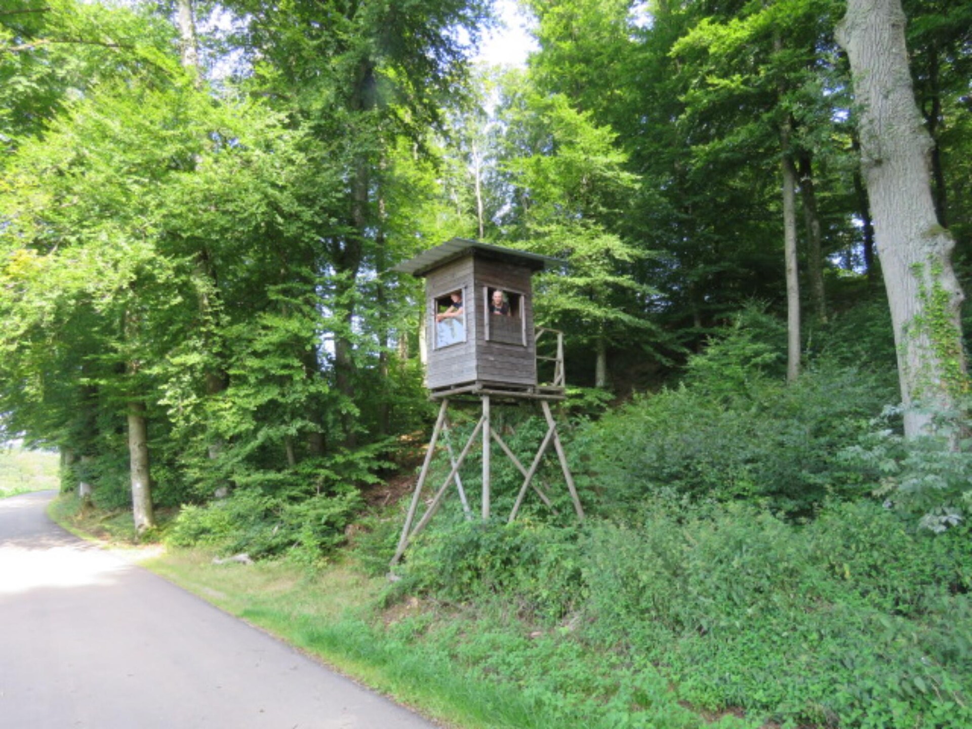 Kampeeravontuur met luxe twist in het groene hart van Luxemburg - foto 25