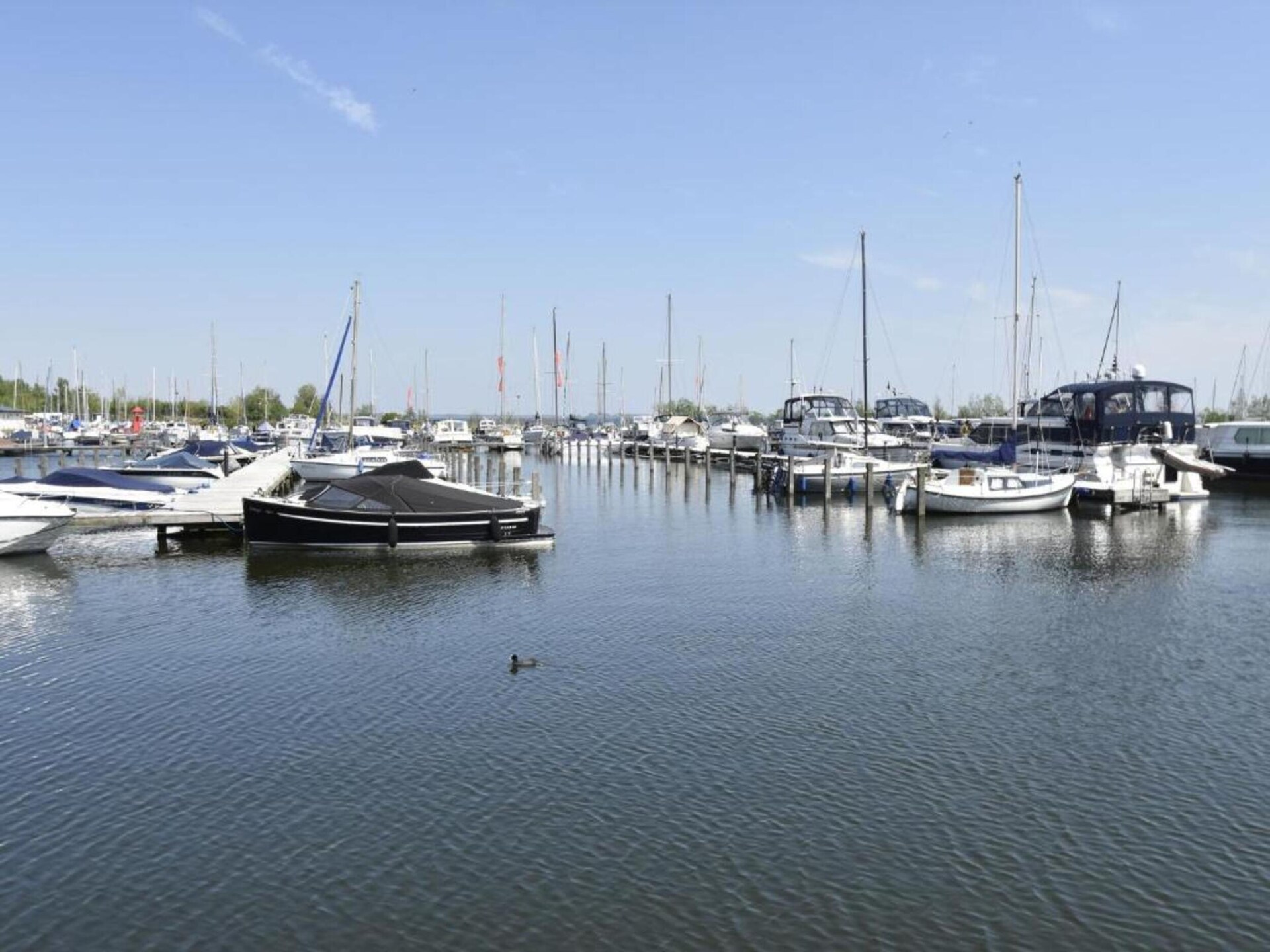 Waterlodge aan het meer met overdekt terras en supersnelle WiFi - foto 28