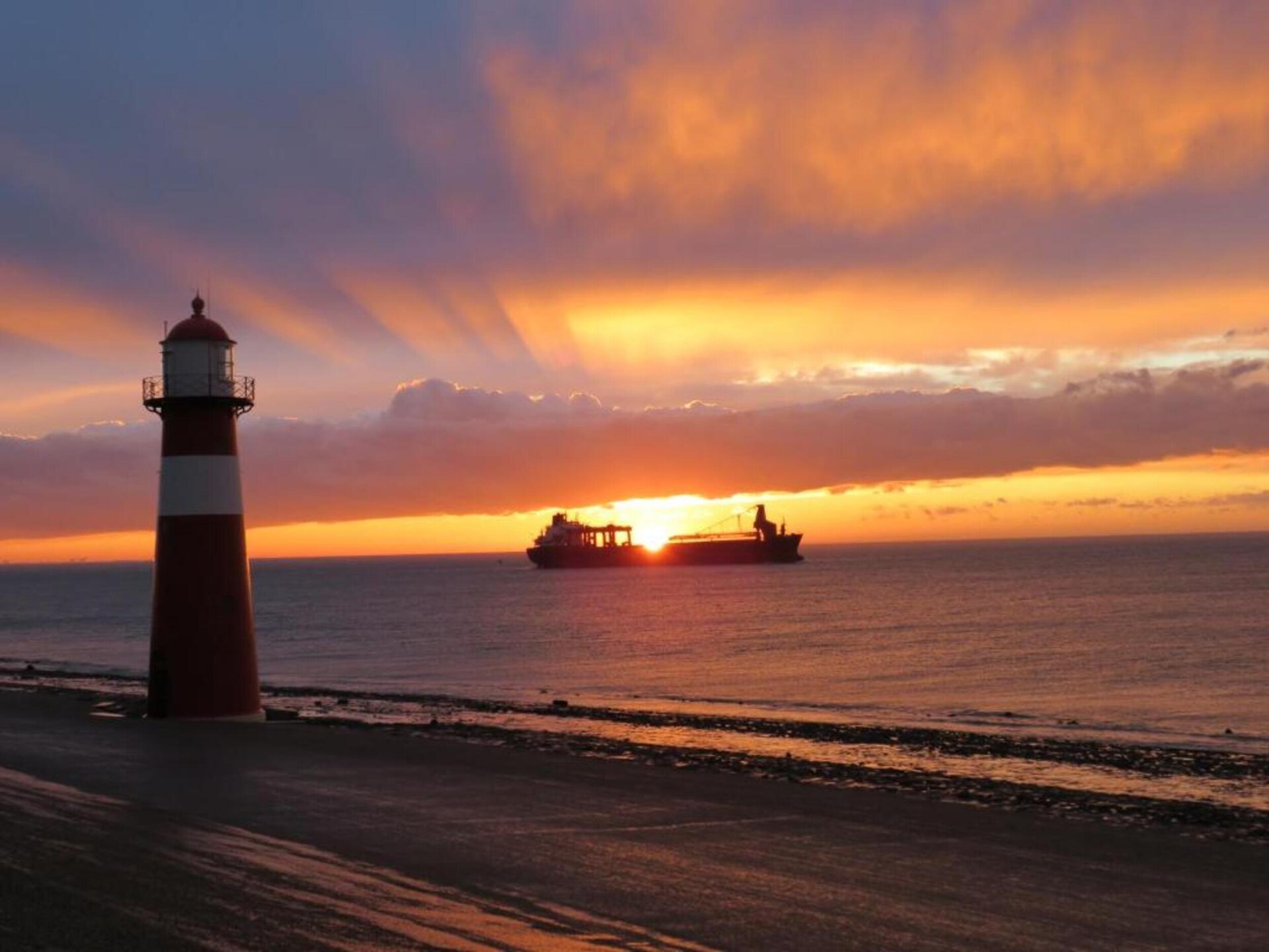Studio aan zee in Westkapelle: knus, huisdiervriendelijk en 150m van strand - foto 33