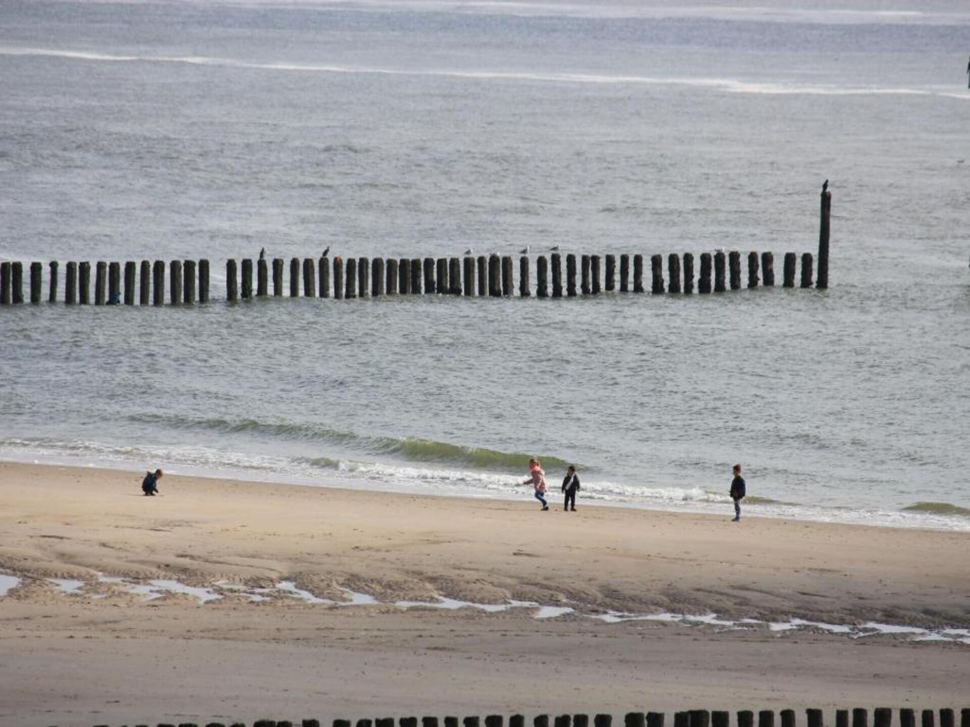Studio aan zee in Westkapelle: knus, huisdiervriendelijk en 150m van strand - foto 22