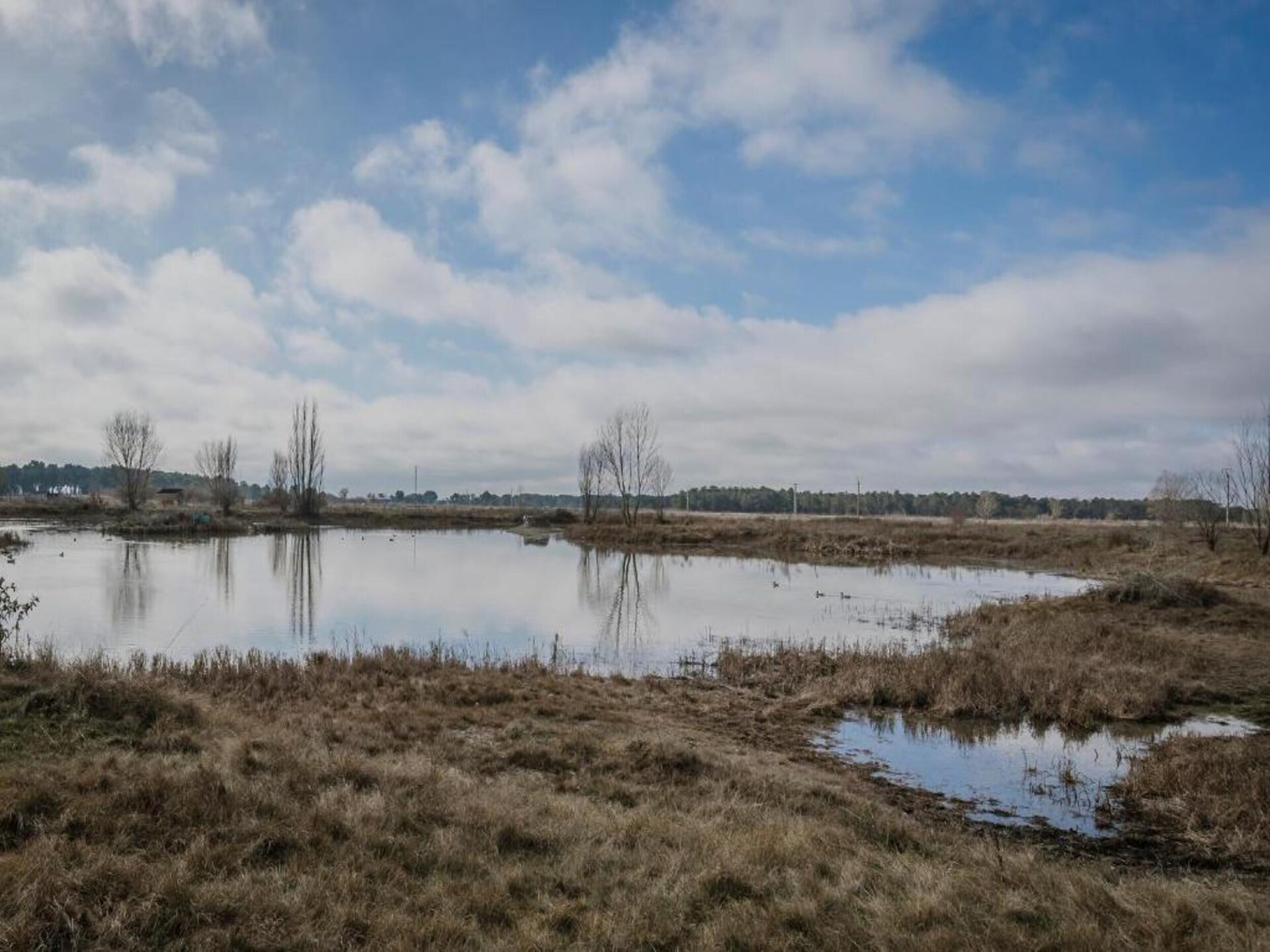 Uniek grothuis Casa Ed op het Spaanse platteland bij Cúllar - foto 35