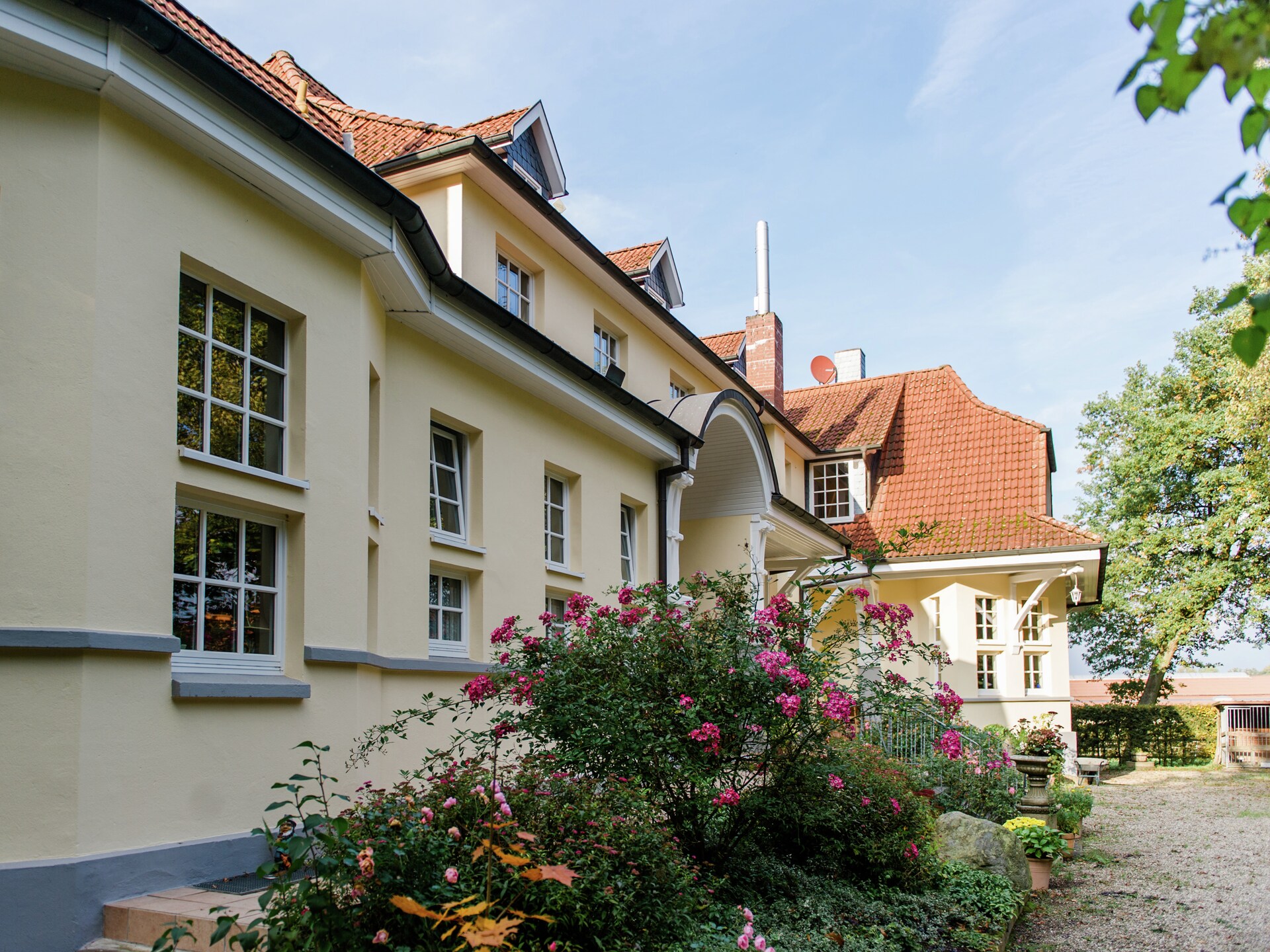 Knus vakantiehuis voor 3 in de bossen van Eschede, hondvriendelijk - foto 24