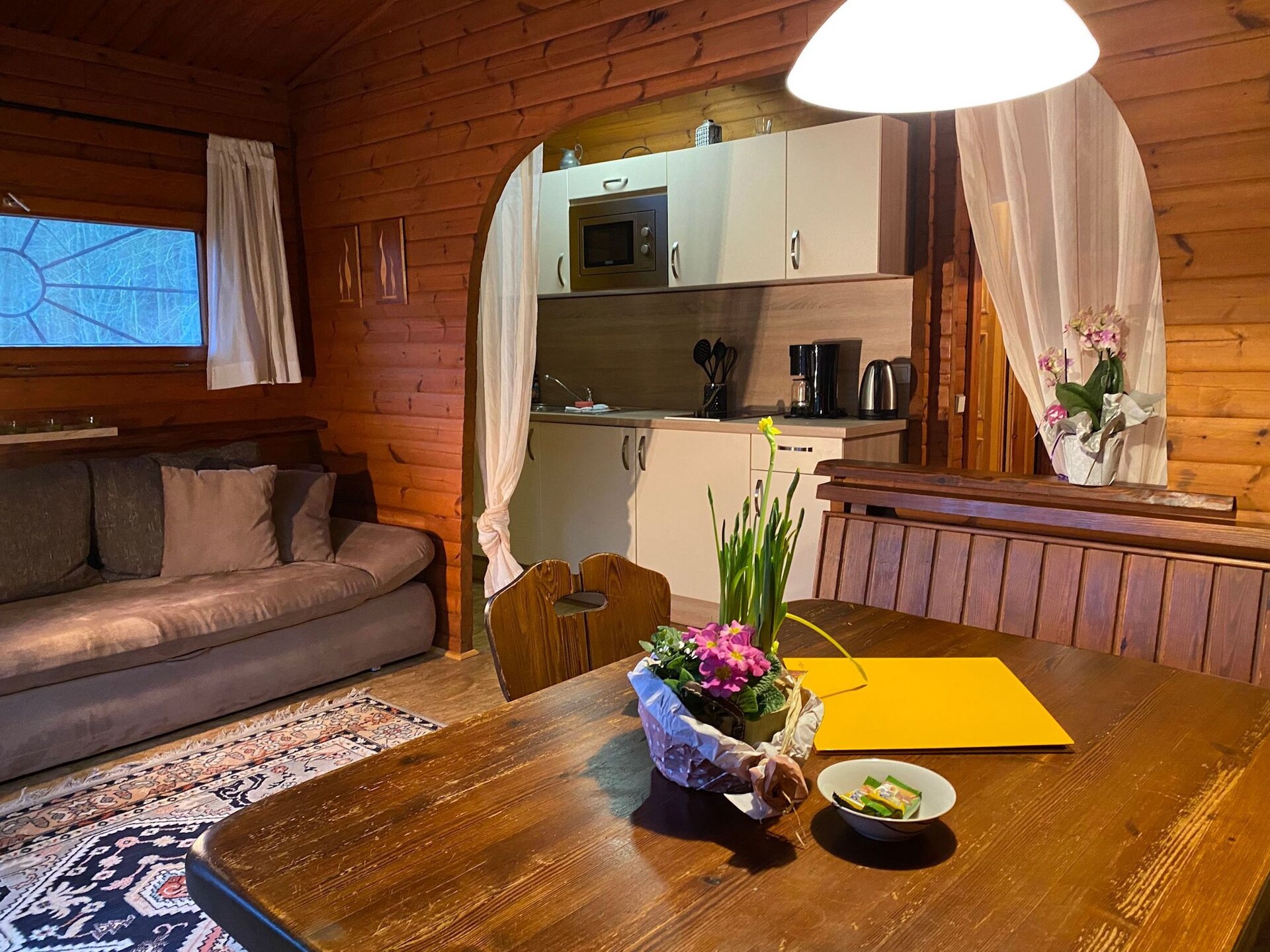 Knus vakantiehuis voor 3 in de bossen van Eschede, hondvriendelijk - foto 2