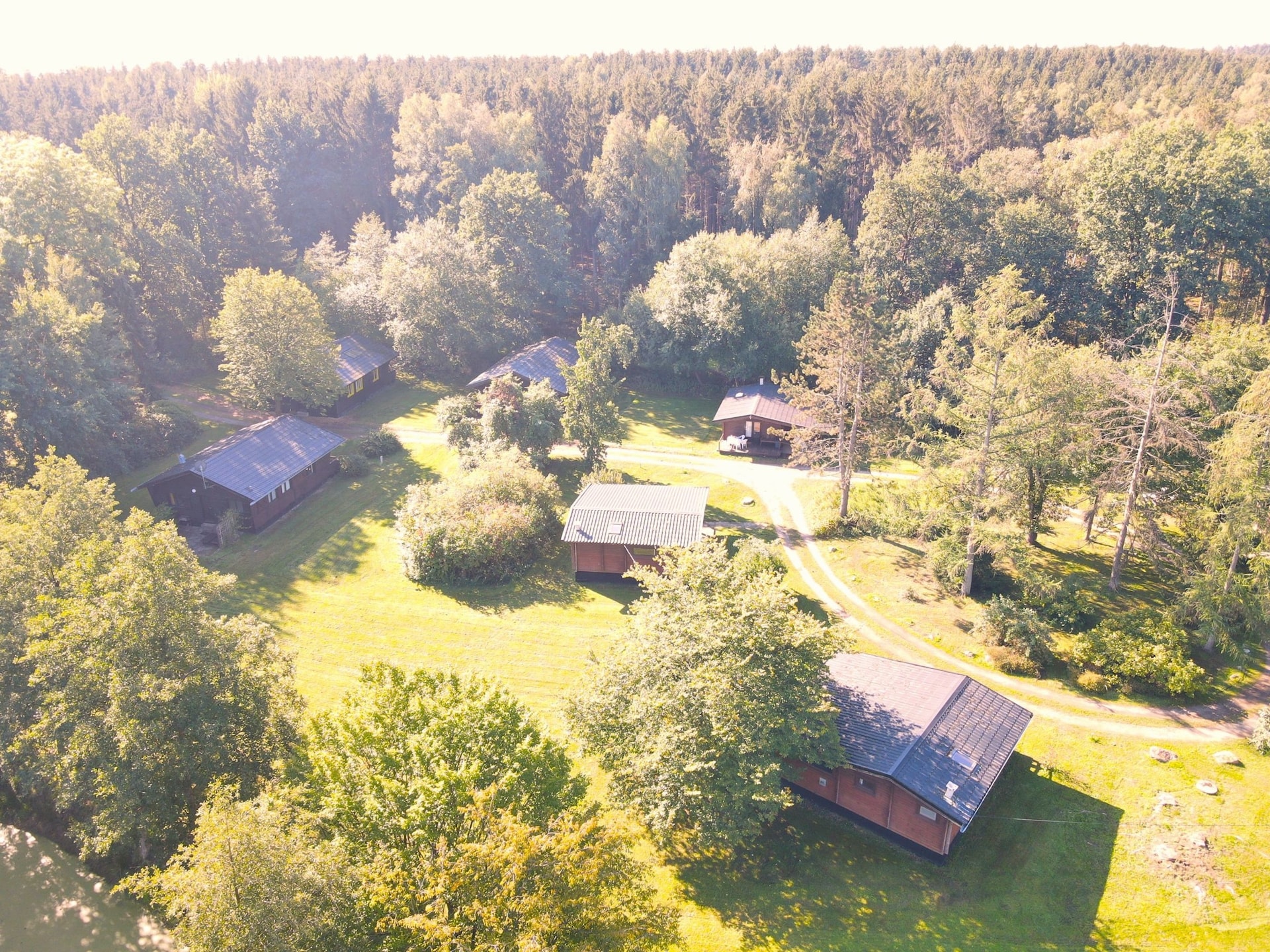 Huisdiervriendelijk vakantiehuis in Eschede voor 4 personen - foto 14