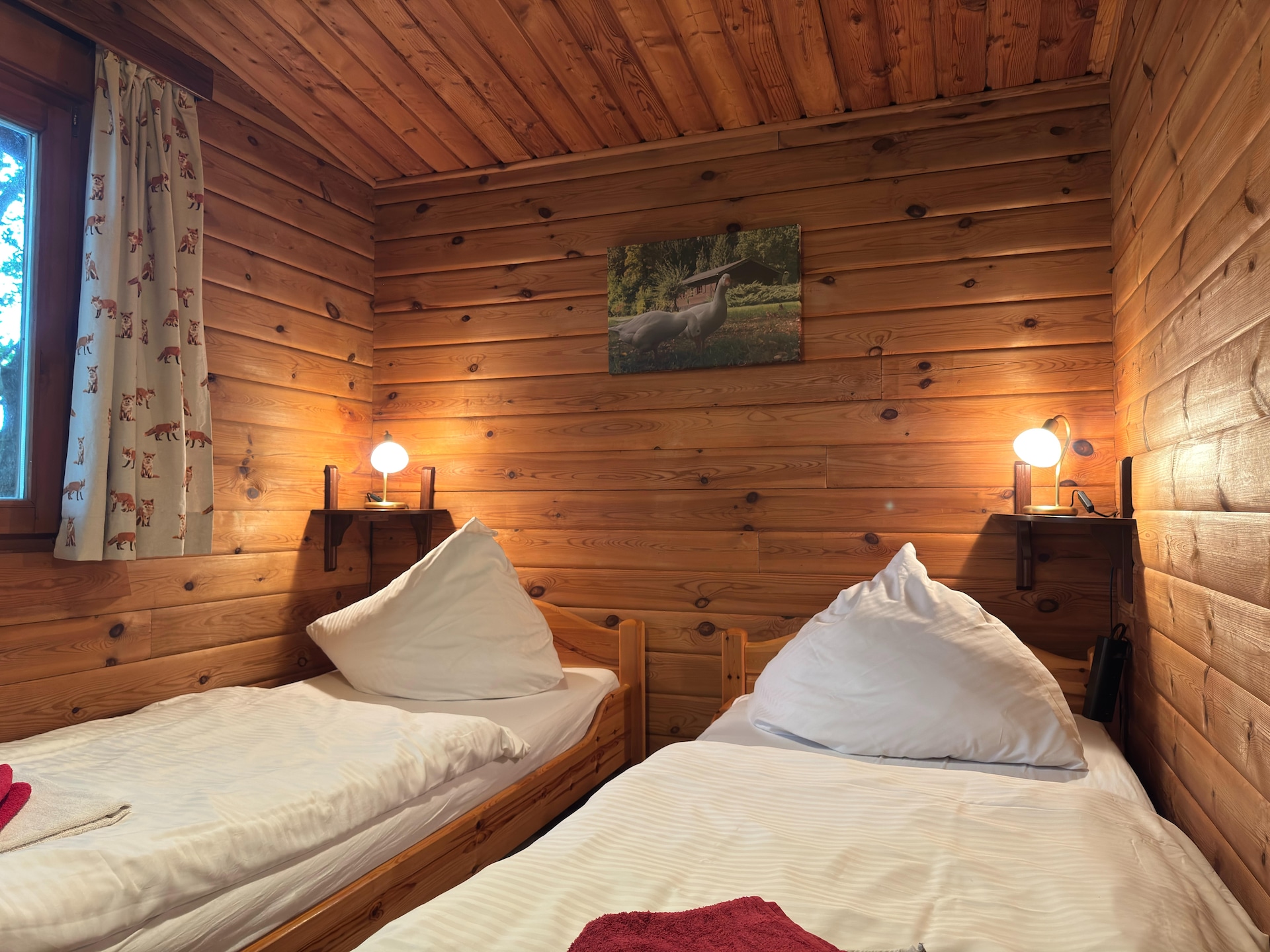 Huisdiervriendelijk vakantiehuis in Eschede voor 4 personen - foto 7