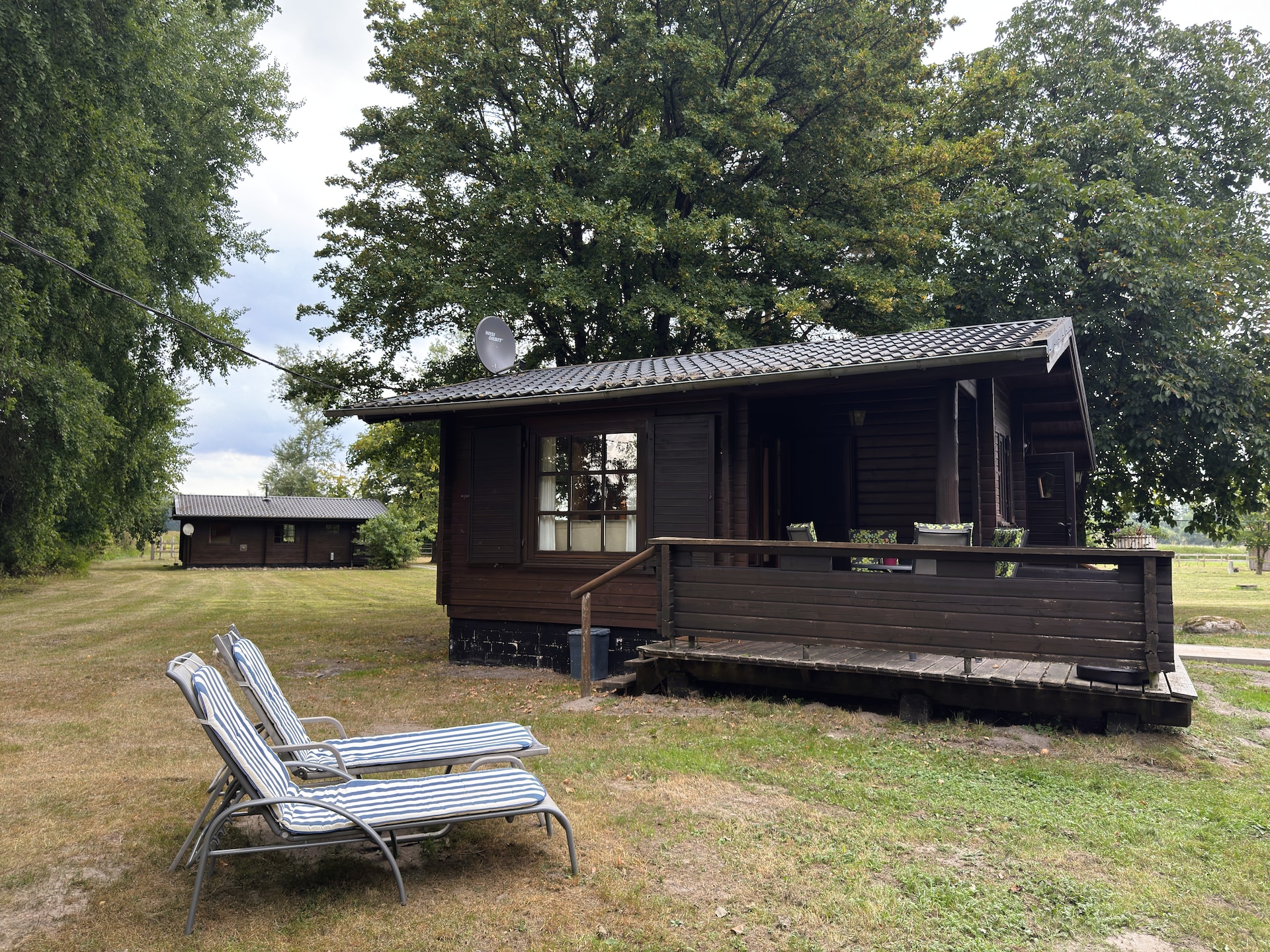 Huisdiervriendelijk vakantiehuis in Eschede voor 4 personen - foto 40