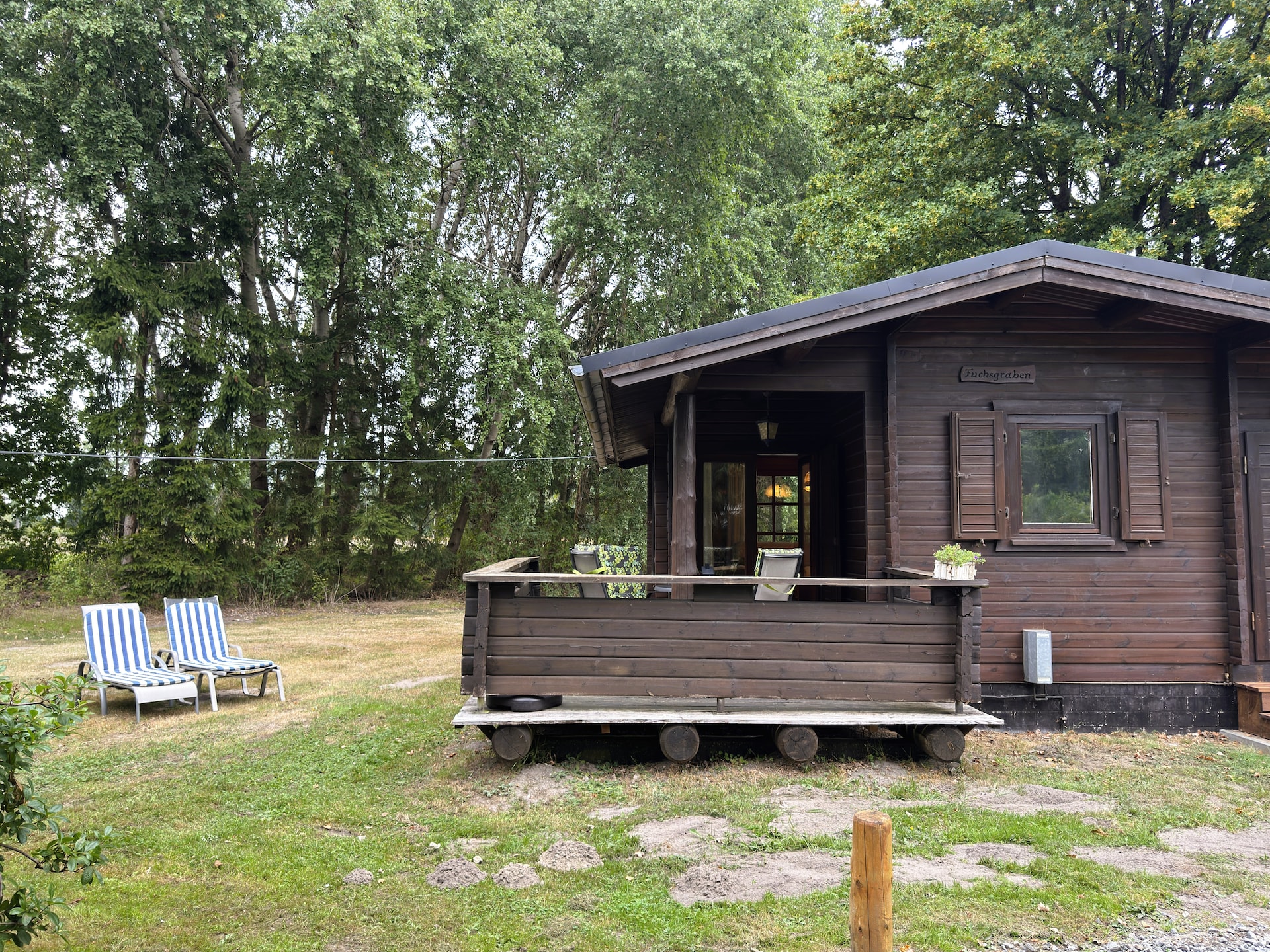 Huisdiervriendelijk vakantiehuis in Eschede voor 4 personen - foto 1