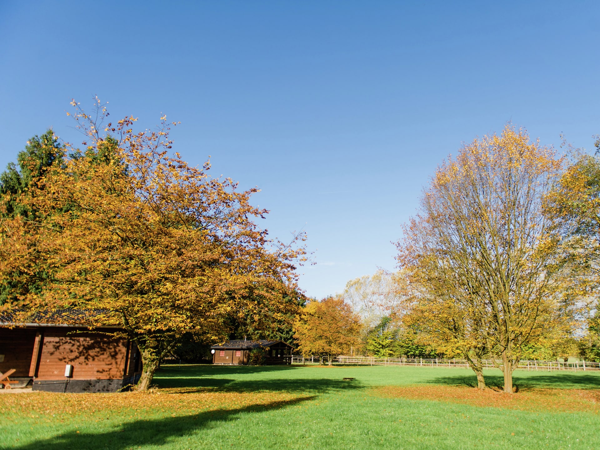 Gezellig vakantiehuis in Eschede te midden van natuur - foto 32