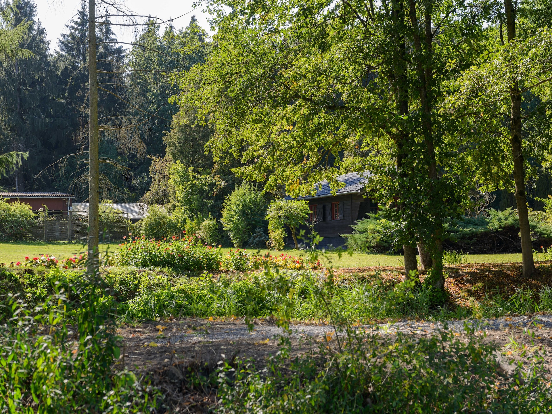Gezellig vakantiehuis in Eschede te midden van natuur - foto 28