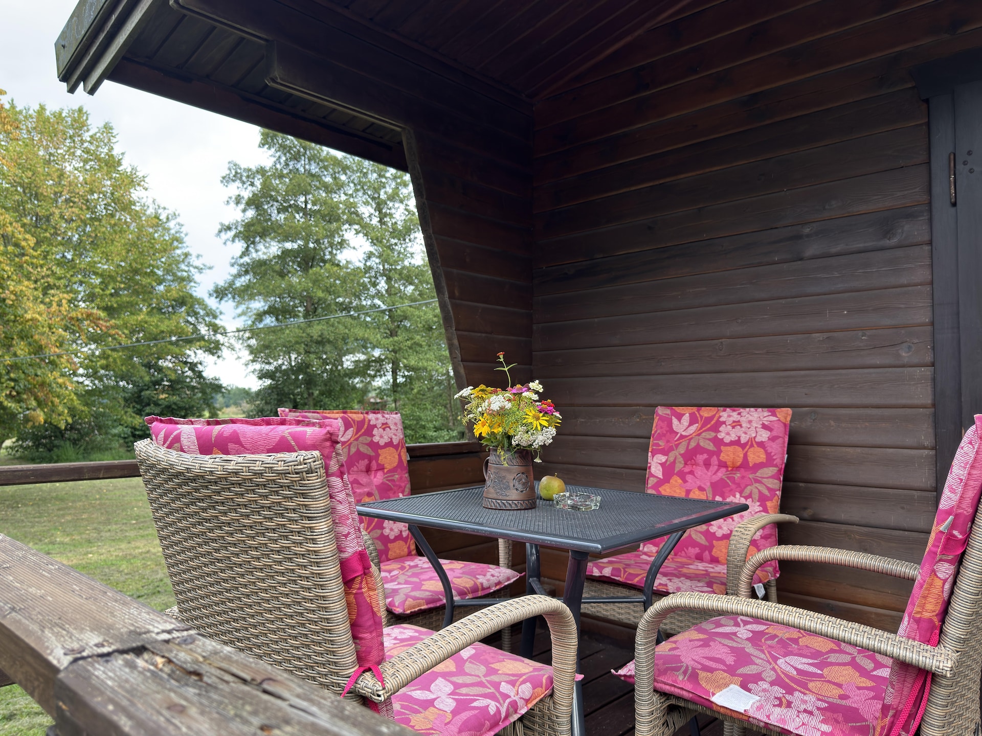 Gezellig vakantiehuis in Eschede te midden van natuur - foto 2