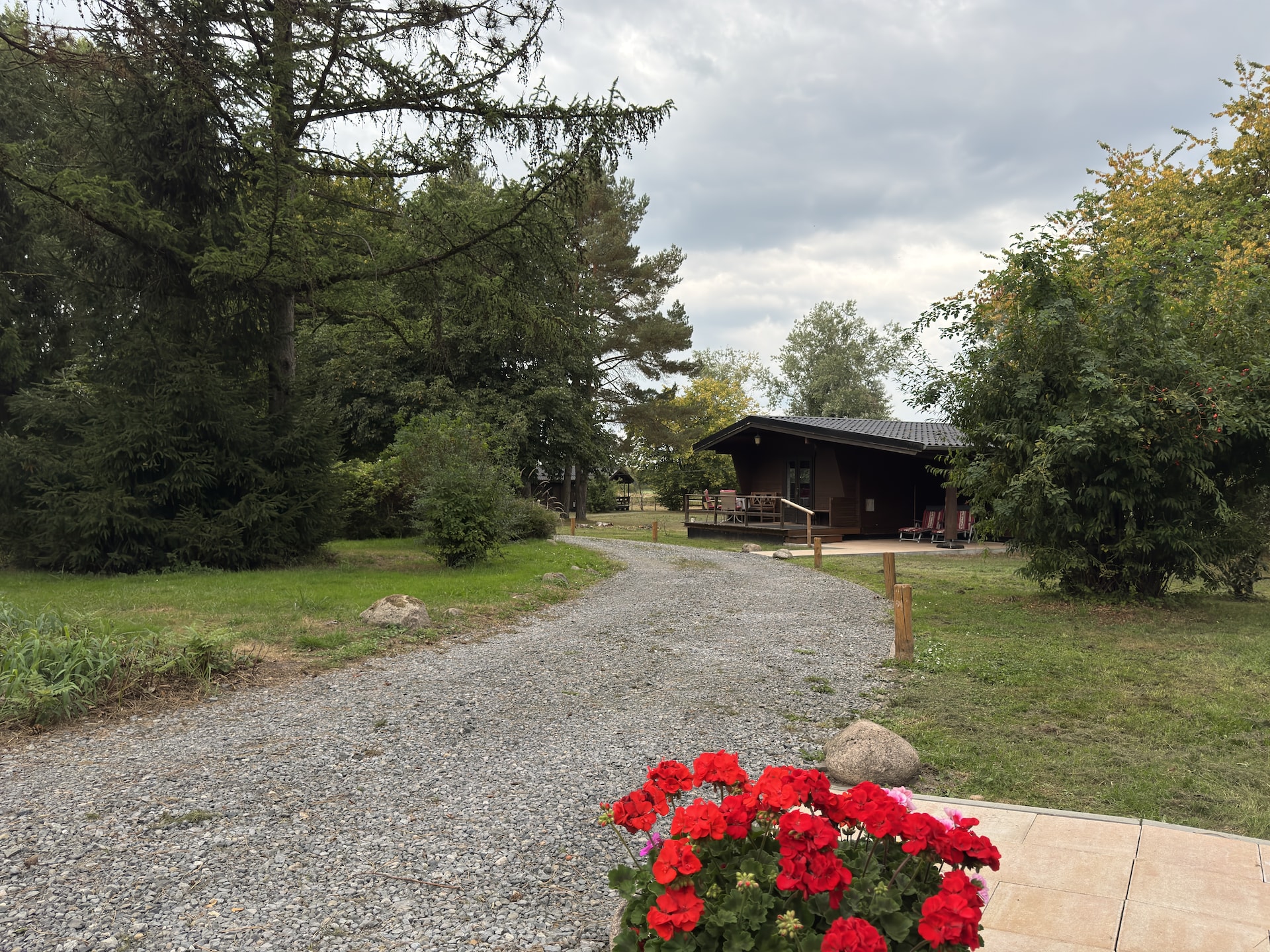 Gezellig vakantiehuis in Eschede te midden van natuur - foto 35