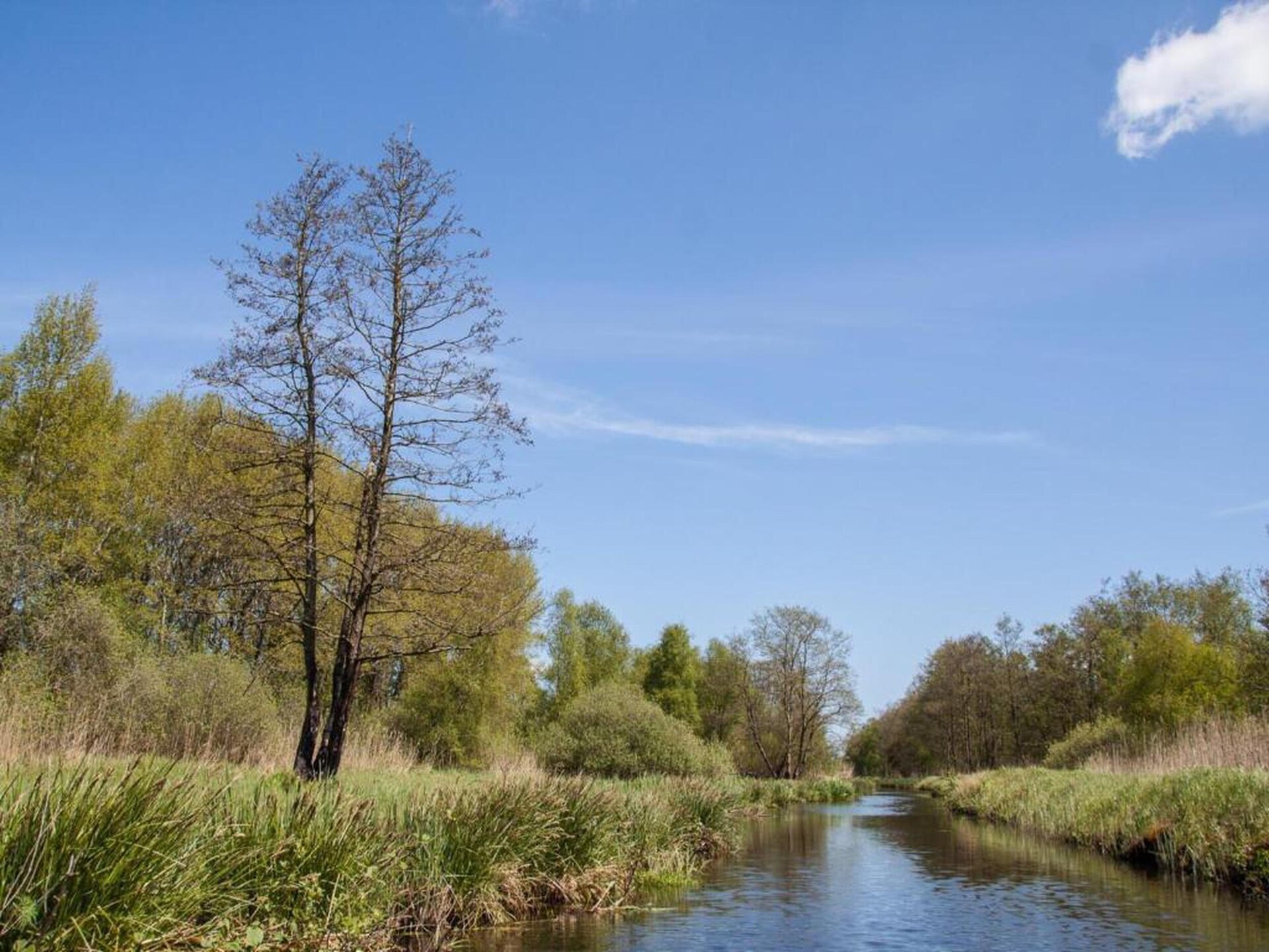 Luxe watervilla met steiger in Nationaal Park Weerribben-Wieden - foto 35