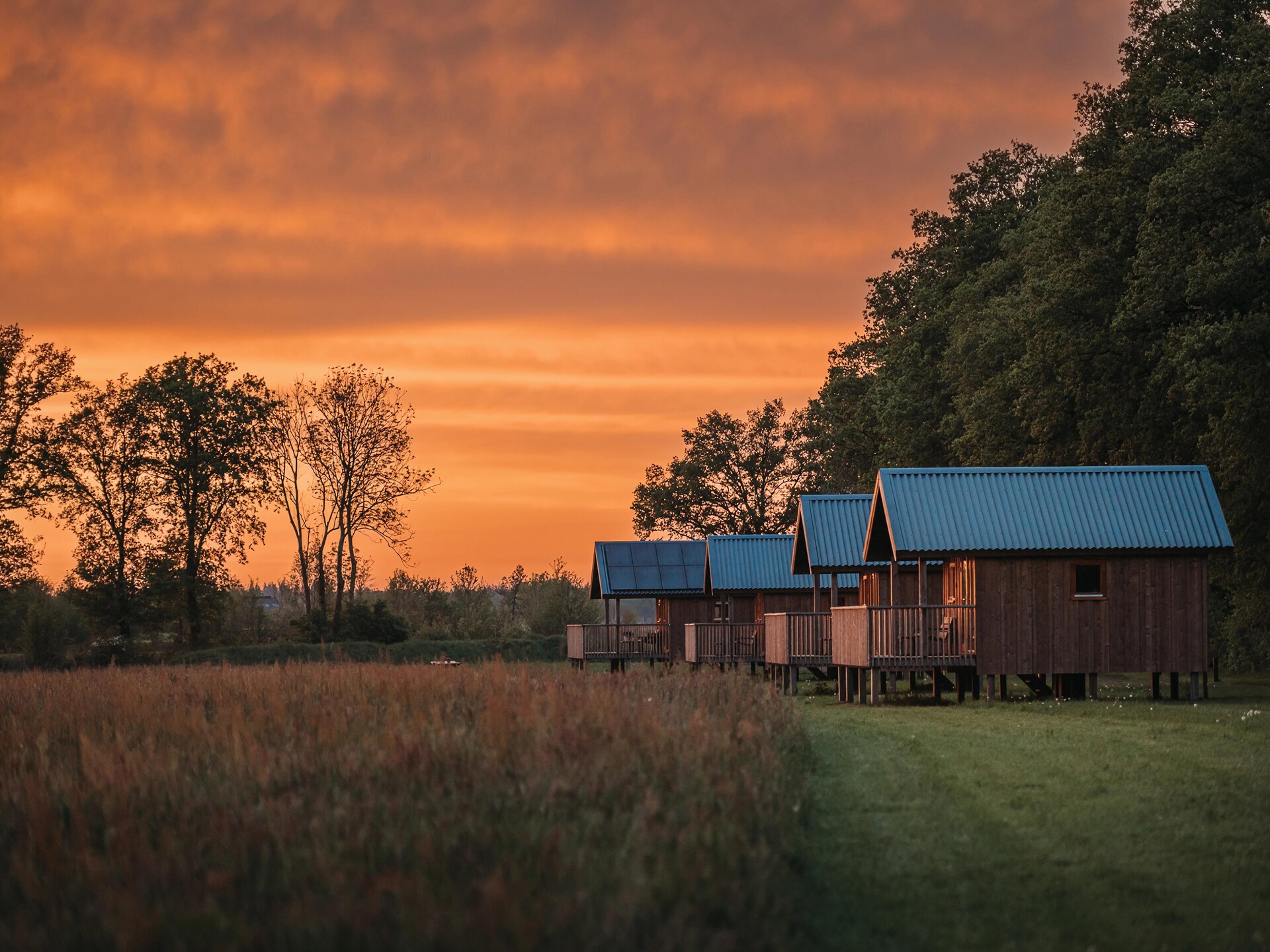 Wellness lodge met hottub aan de weilanden in Drenthe - foto 27