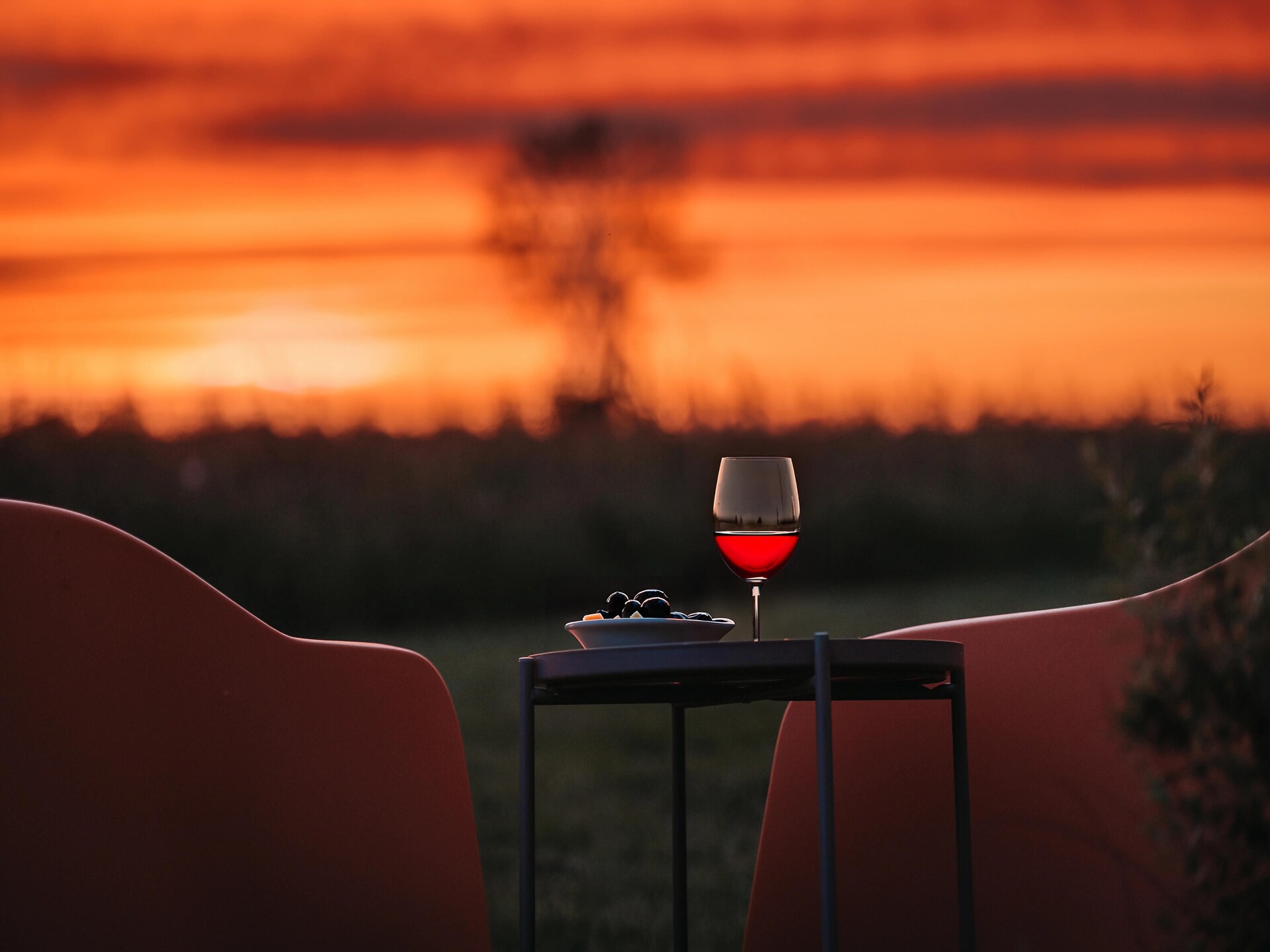Wellness lodge met hottub aan de weilanden in Drenthe - foto 39