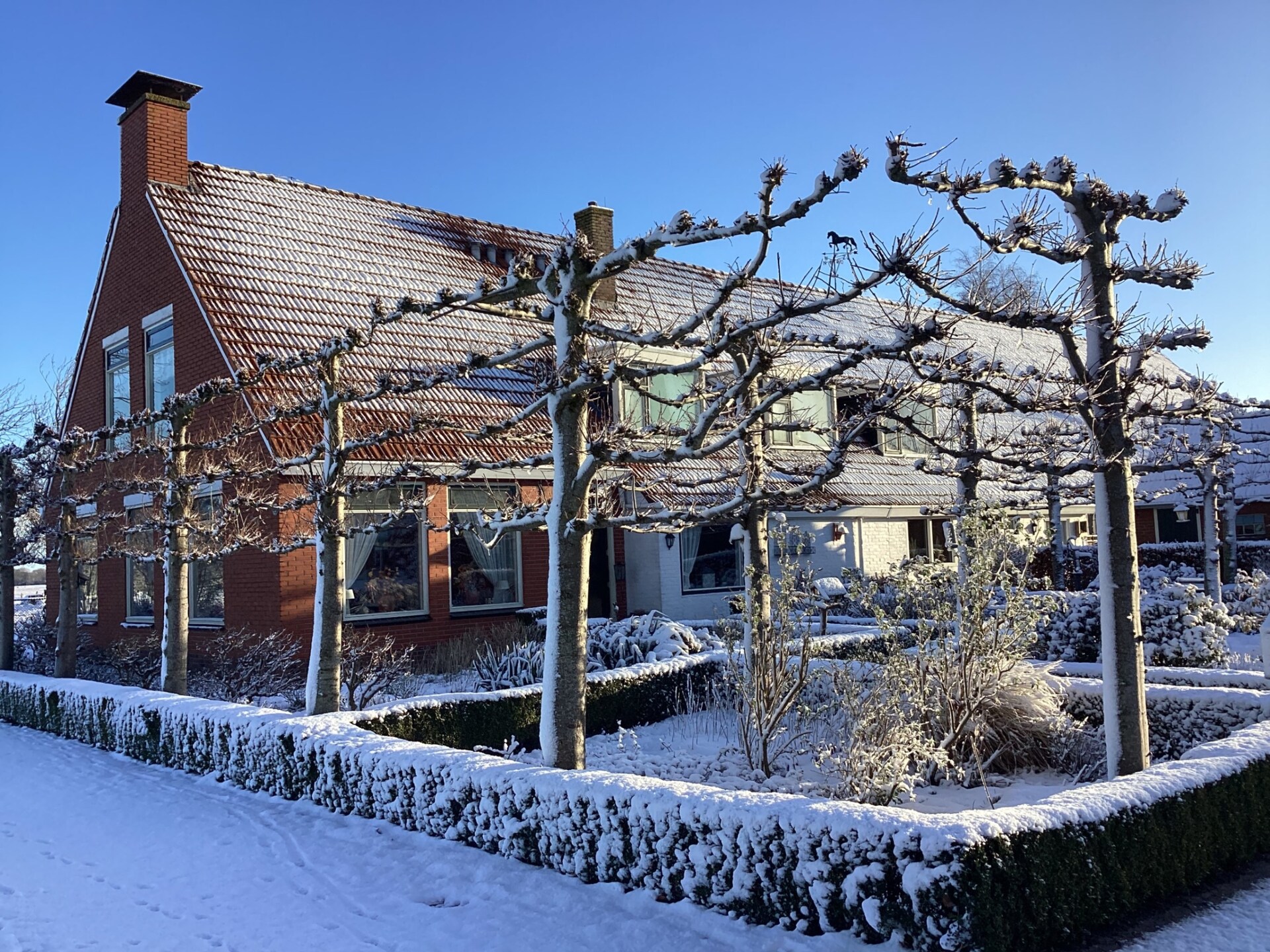 De Kerkereed: Vrijstaand vakantiehuis in het groene hart van Friesland - foto 40