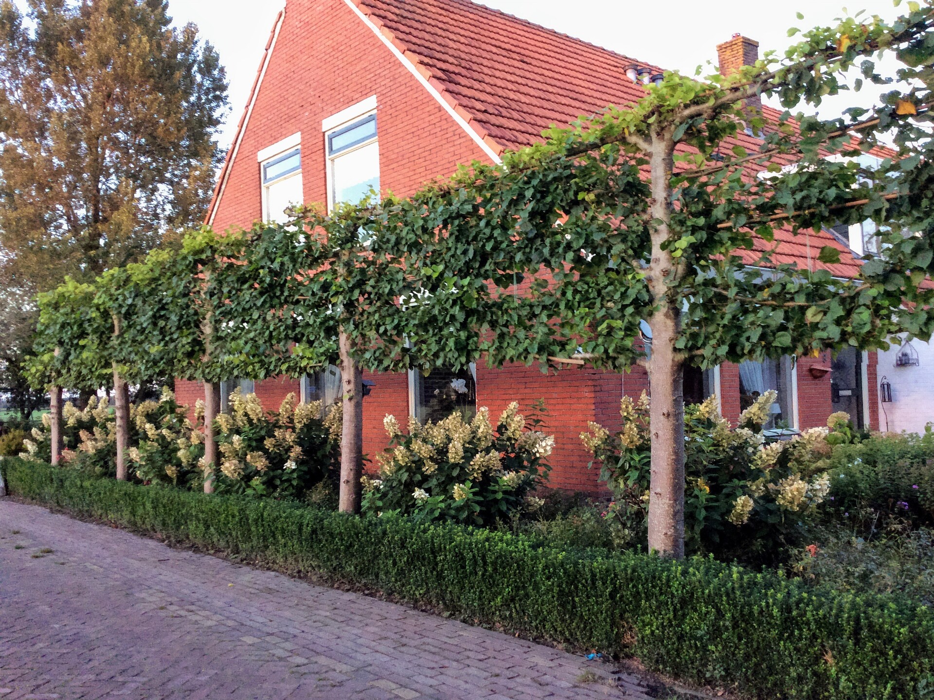 De Kerkereed: Vrijstaand vakantiehuis in het groene hart van Friesland - foto 31