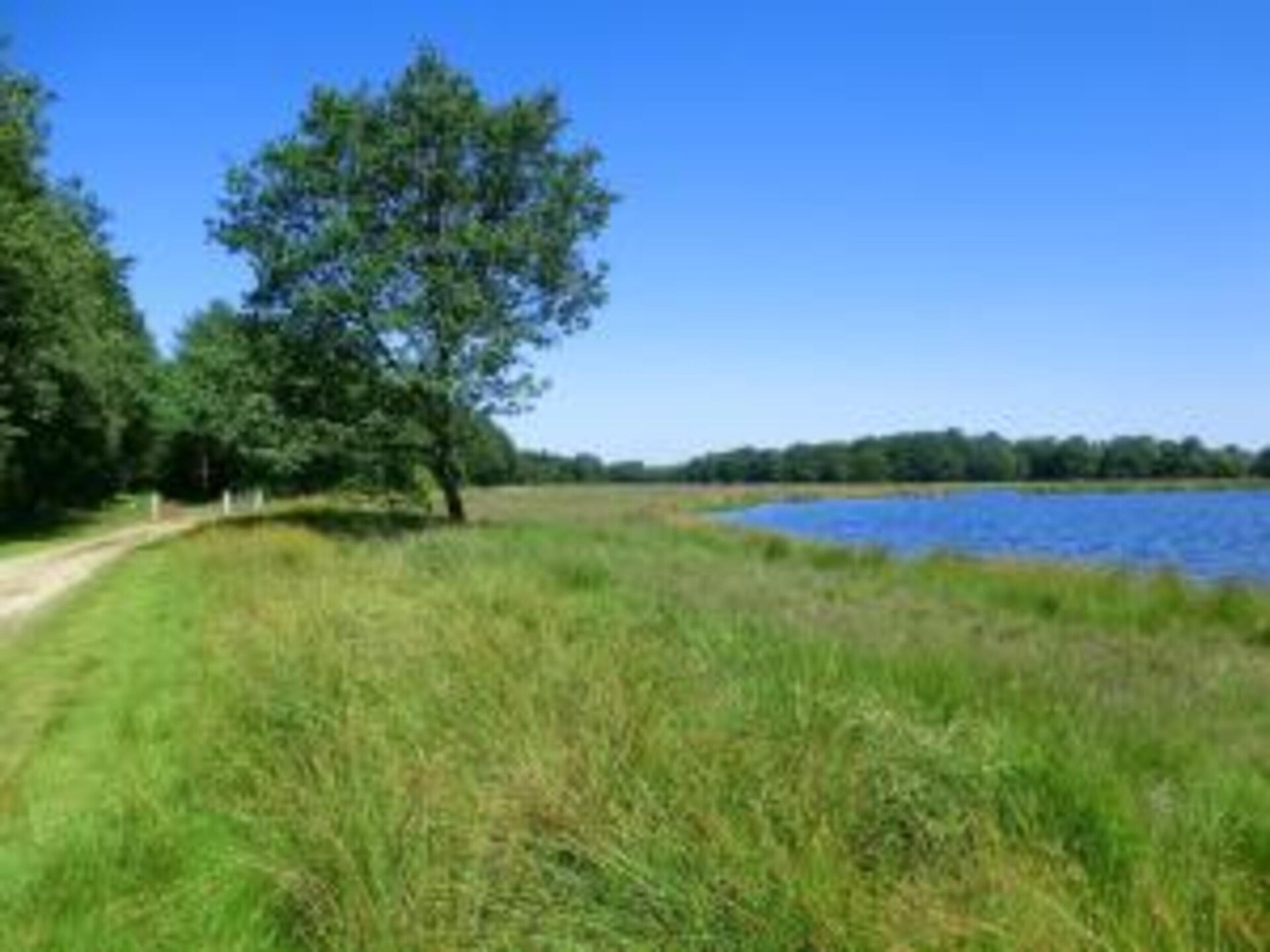 De Kerkereed: Vrijstaand vakantiehuis in het groene hart van Friesland - foto 35