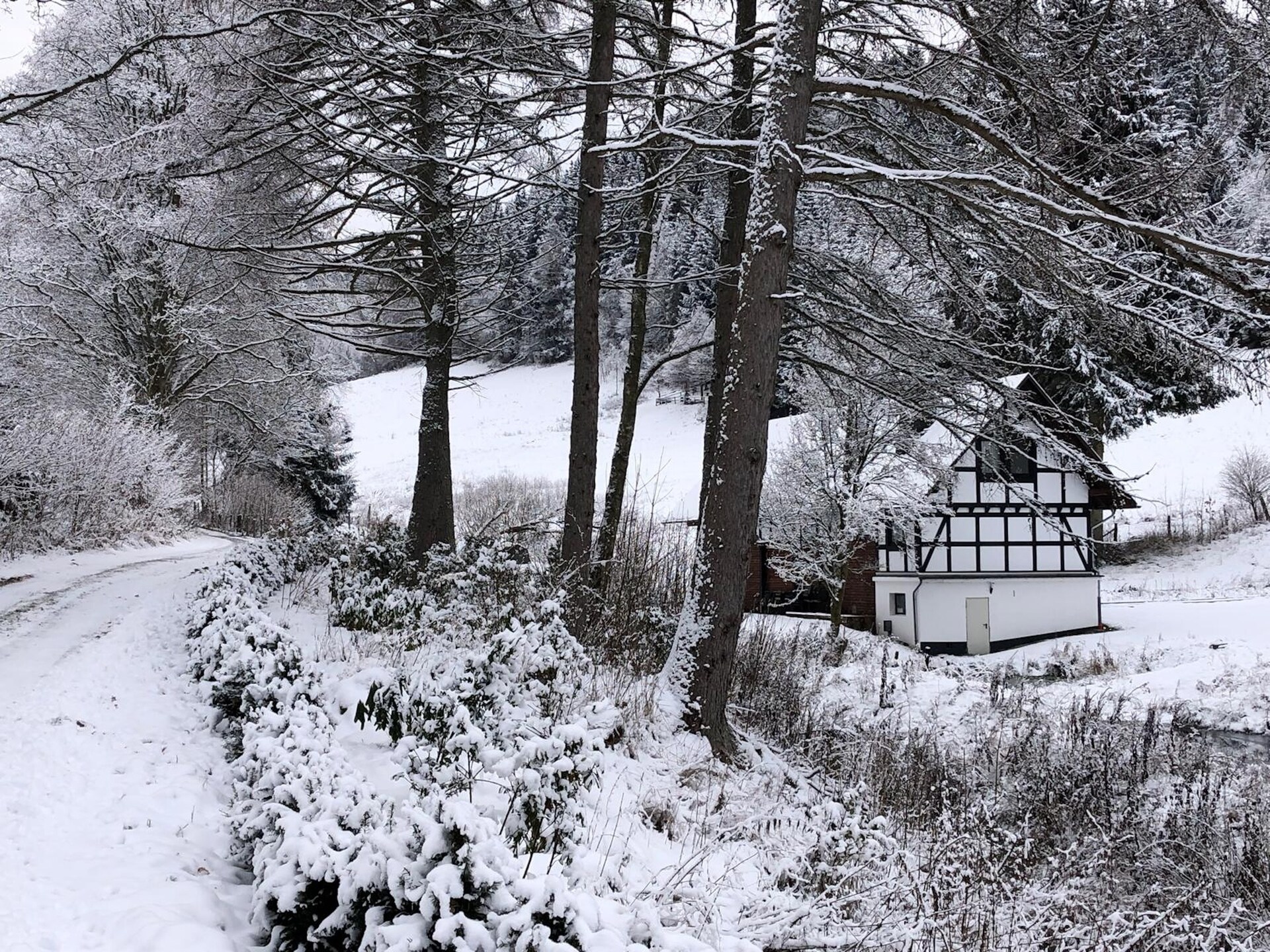 Ruim vakwerkhuis voor 10 personen aan de bosrand bij Winterberg-Züschen - foto 35
