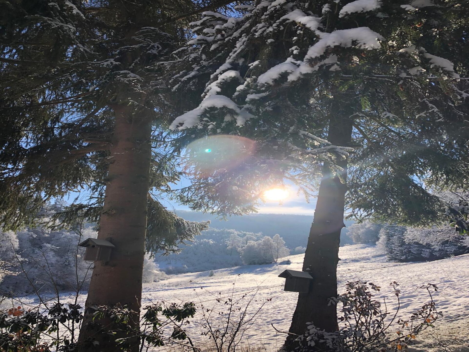 Ruim vakwerkhuis voor 10 personen aan de bosrand bij Winterberg-Züschen - foto 31