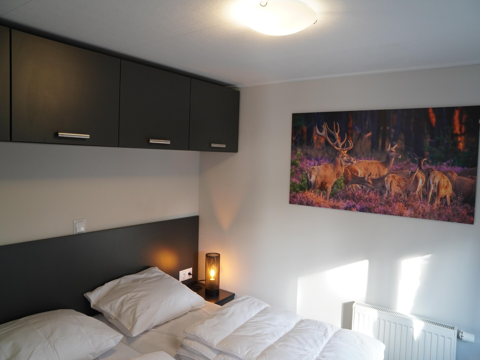 Modern boshuisje met haard op huisdiervriendelijk vakantiepark in Hoenderloo - foto 11
