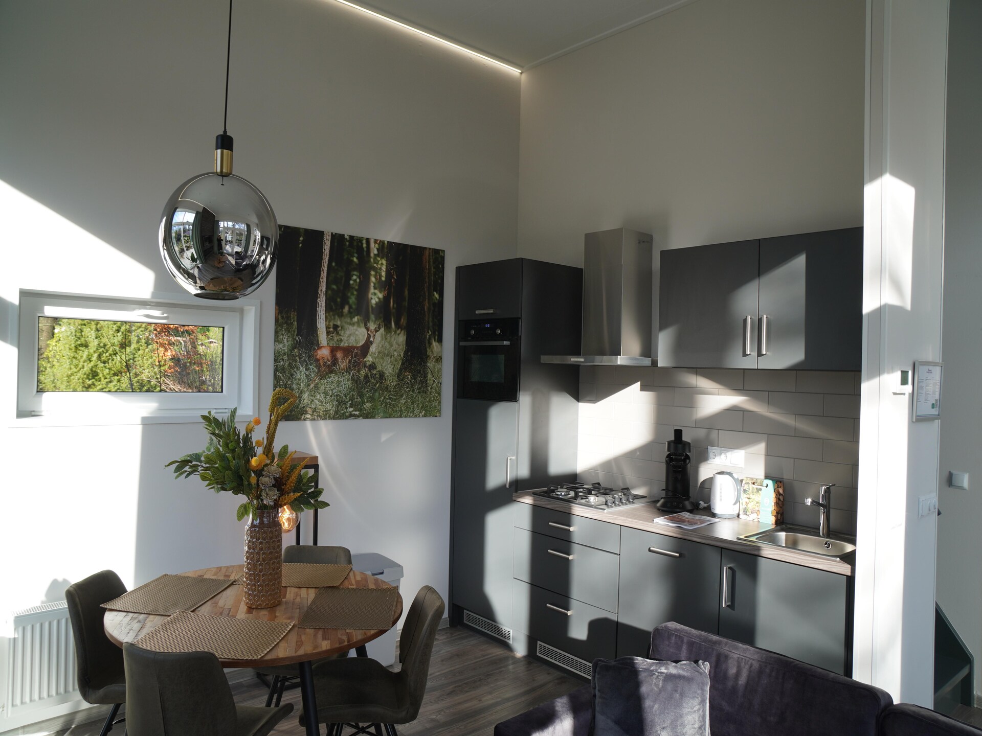 Modern boshuisje met haard op huisdiervriendelijk vakantiepark in Hoenderloo - foto 2