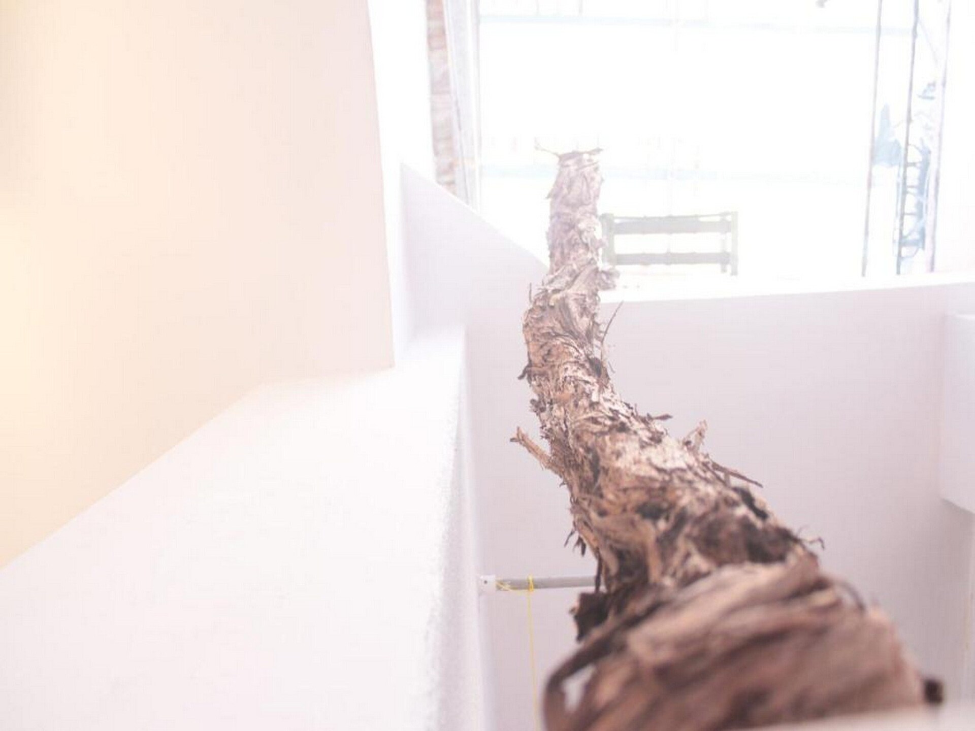 Gerenoveerd studio-appartement in historisch hart van Split met gedeelde tuin - foto 22