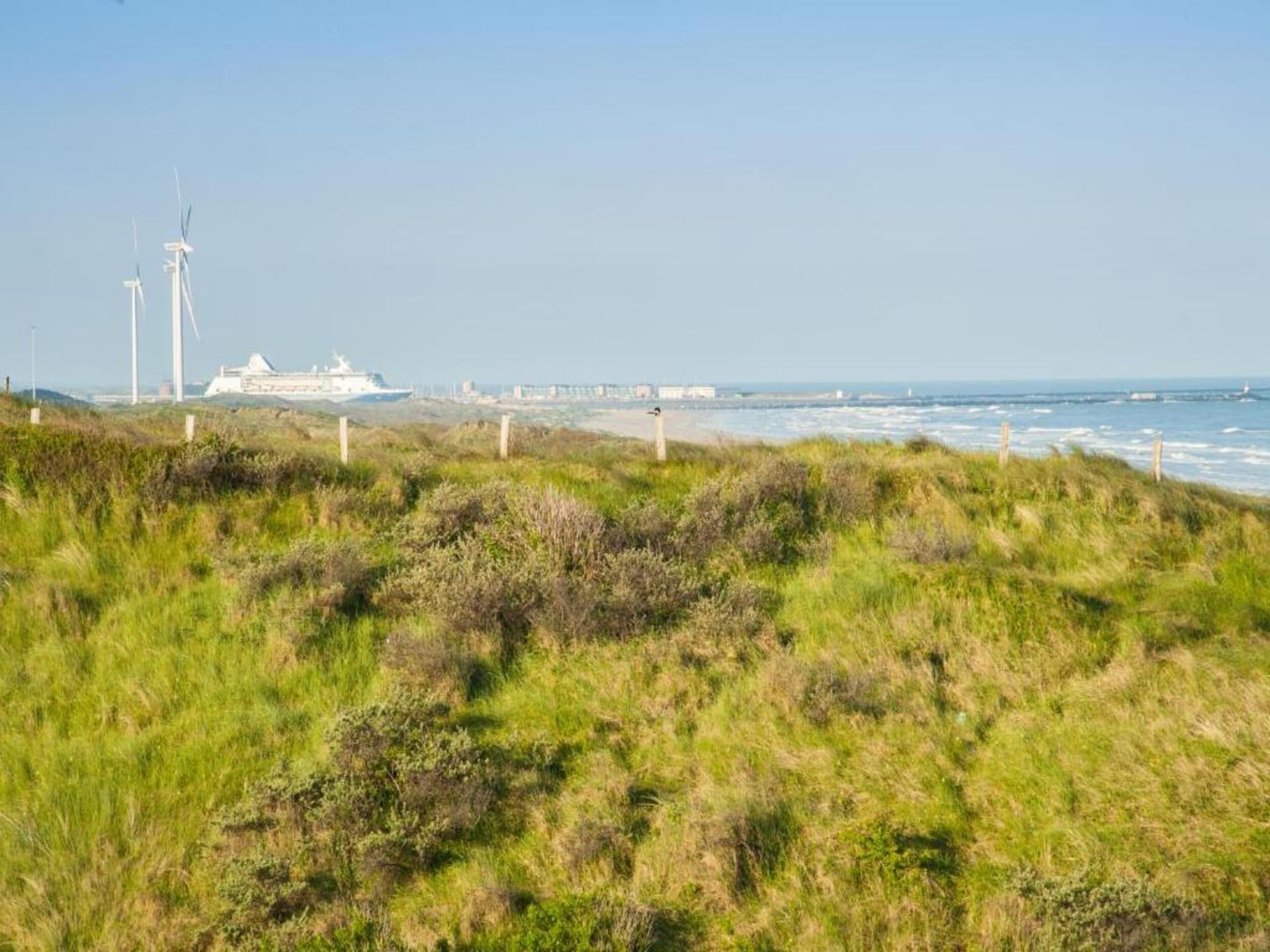 Beach house aan de duinen met zeezicht in Wijk aan Zee - foto 31