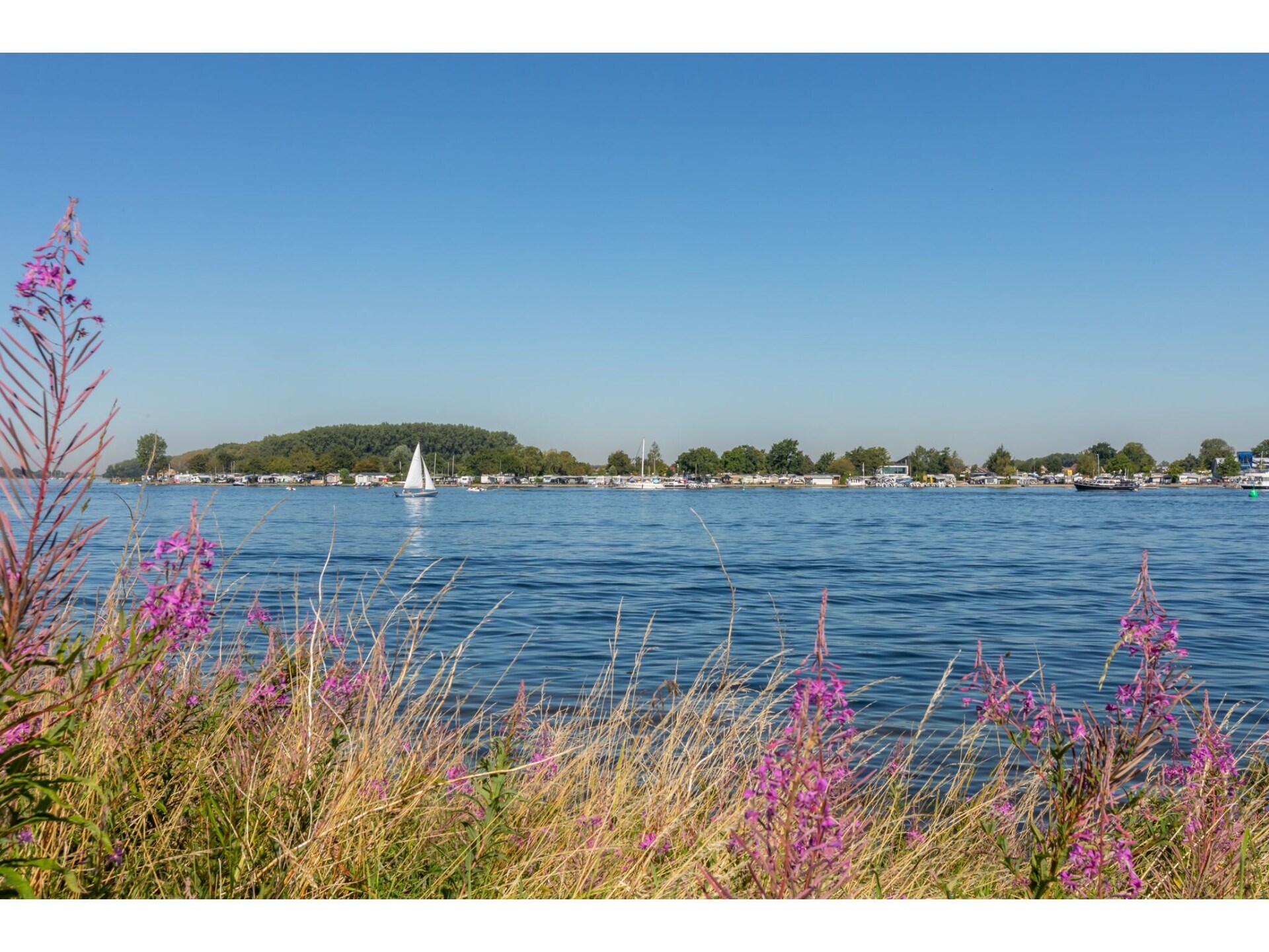 Gezellig tuinhuis aan Veerse Meer in Wolphaartsdijk - foto 20