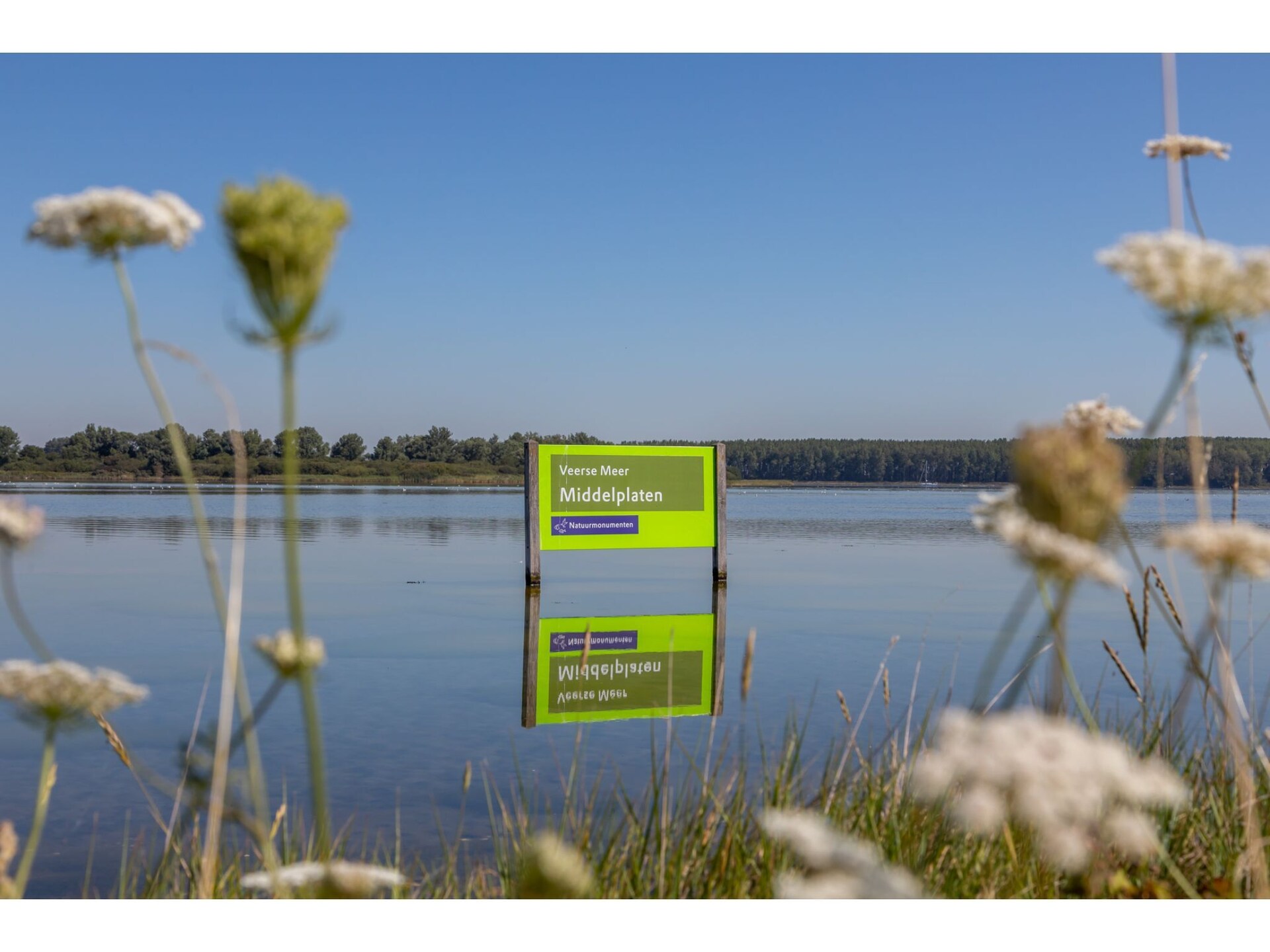 Gezellig tuinhuis aan Veerse Meer in Wolphaartsdijk - foto 23