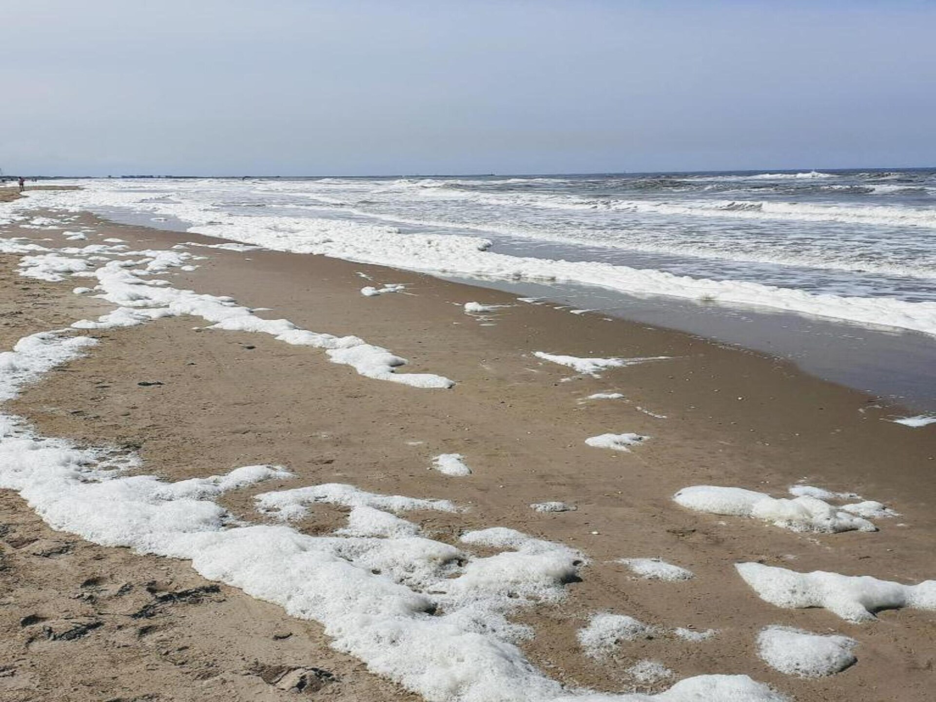Beach house aan zee met panoramisch uitzicht in Wijk aan Zee - foto 34