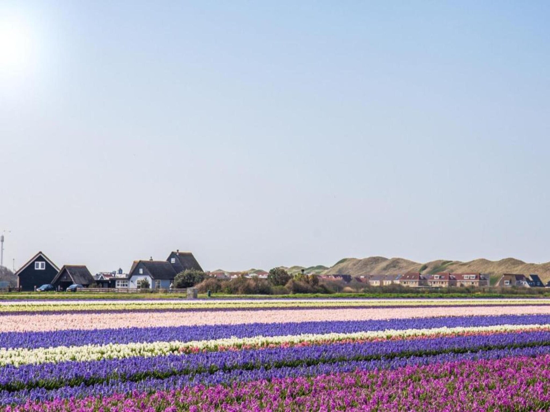 Trendy beach house op het Noordzeestrand van Julianadorp - foto 30
