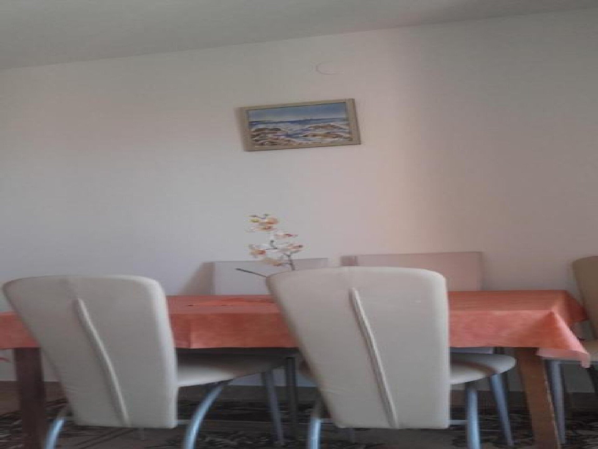 4-persoons appartement met terras in Karin Gornji - foto 3