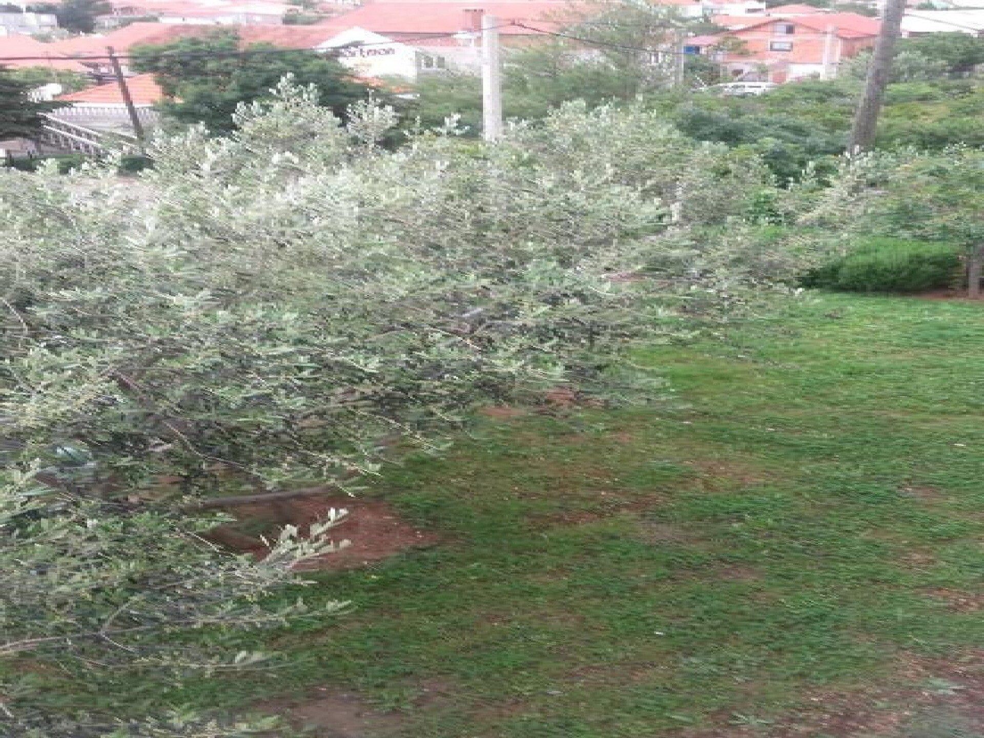 4-persoons appartement met terras in Karin Gornji - foto 17