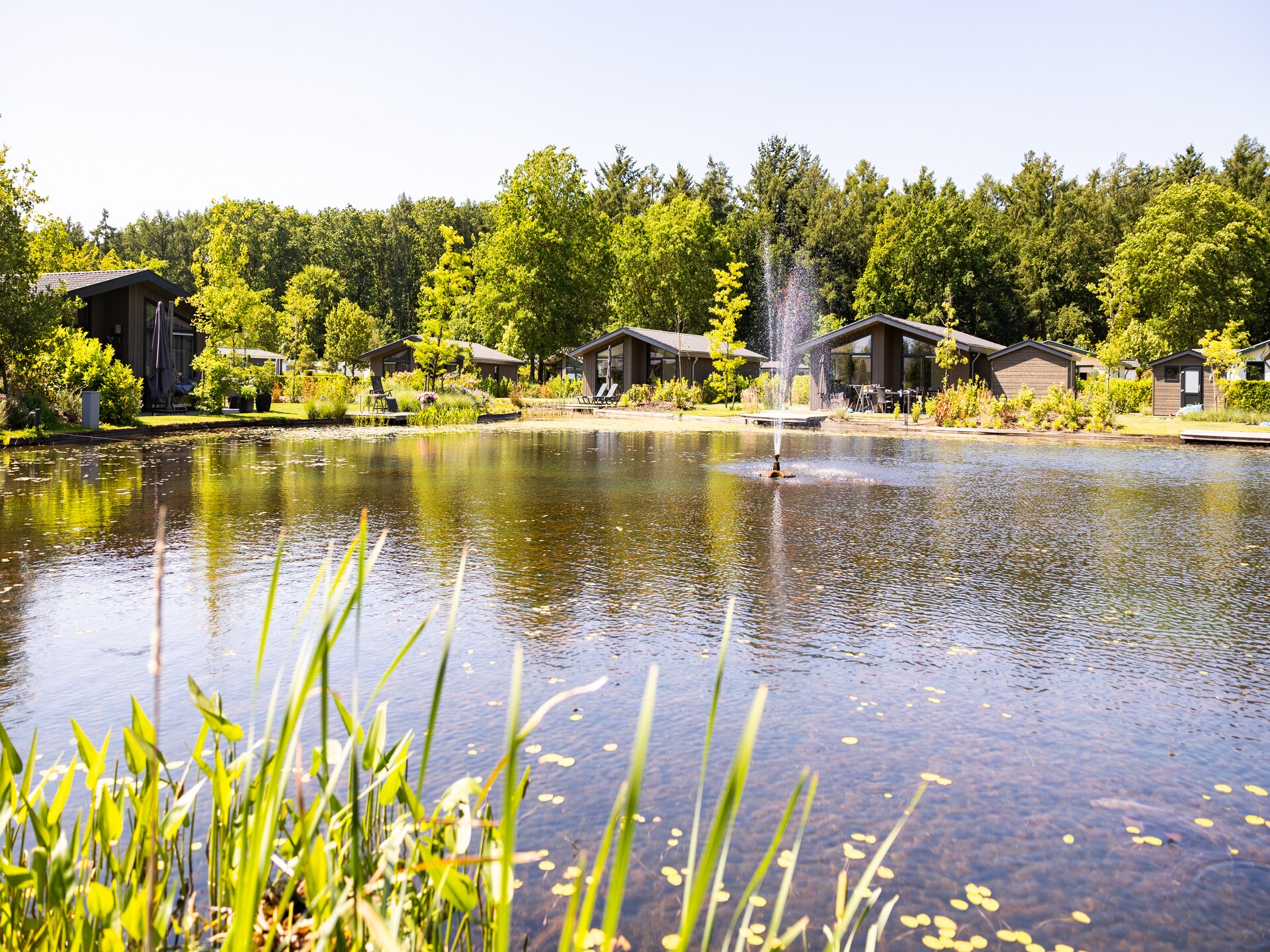 Modern chalet aan vijver met sauna in Veldhoven - foto 14