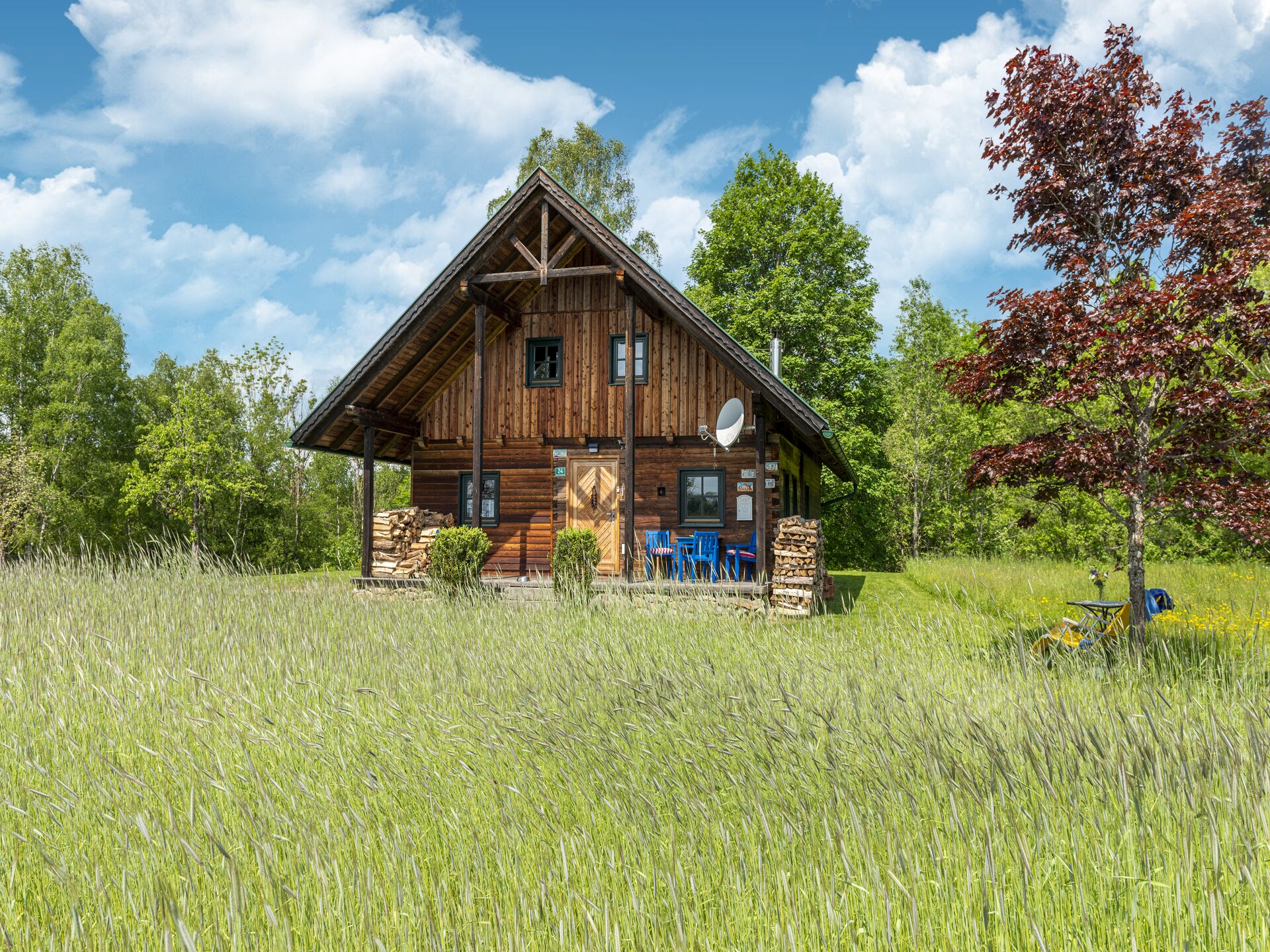 Bergchalet met natuurlijke zwembeek aan de bosrand in Schwarzenberg - foto 1