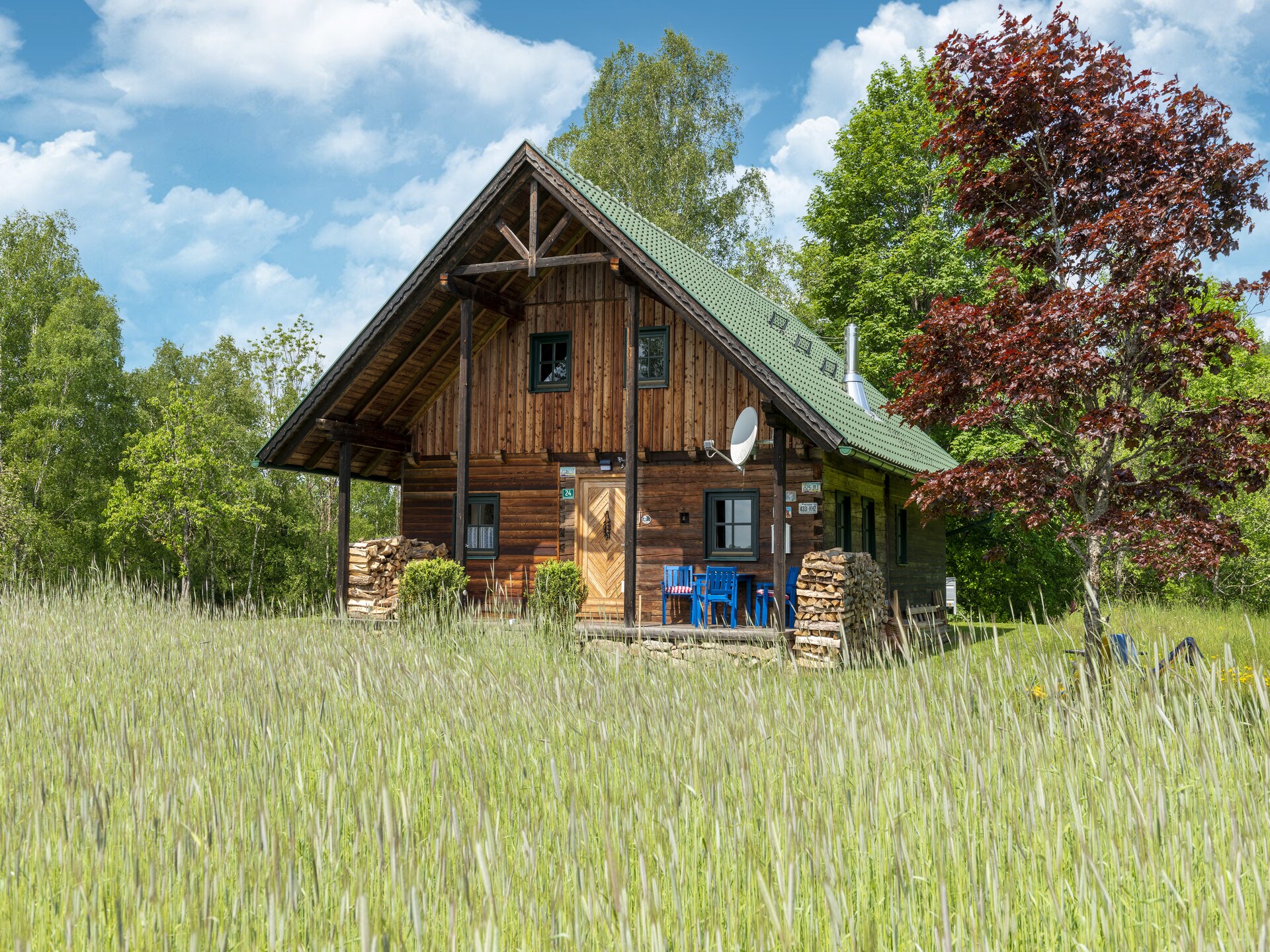 Bergchalet met natuurlijke zwembeek aan de bosrand in Schwarzenberg - foto 9