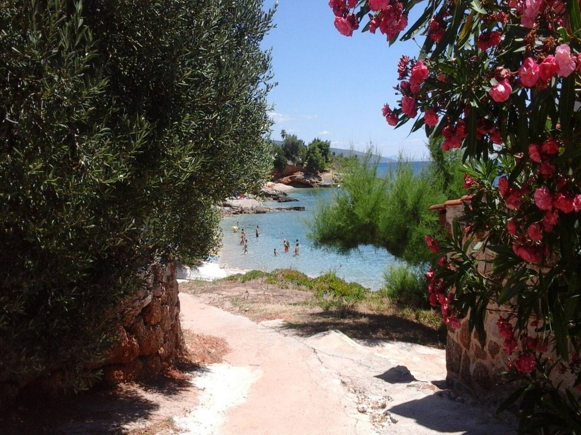Studio met zeezicht op 200 meter van het strand in Zavala, Hvar - foto 16