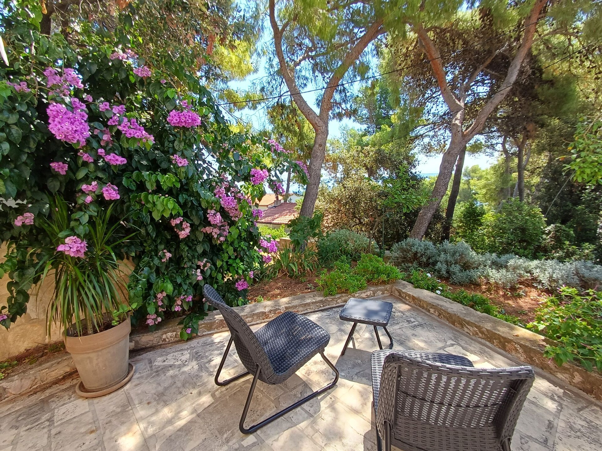 Studio met zeezicht op 200 meter van het strand in Zavala, Hvar - foto 26