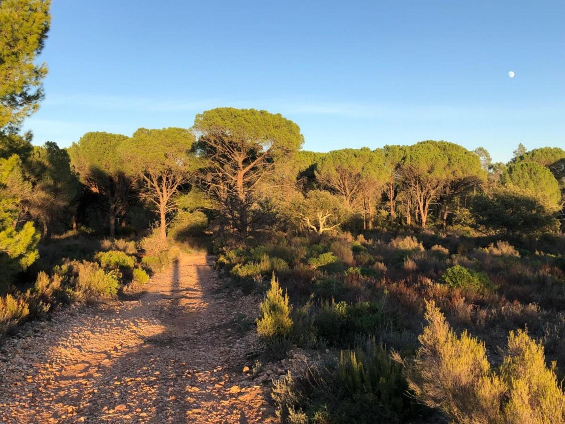 Sfeervol vakantiehuis Mimosas in Vidauban voor 6 personen - foto 38