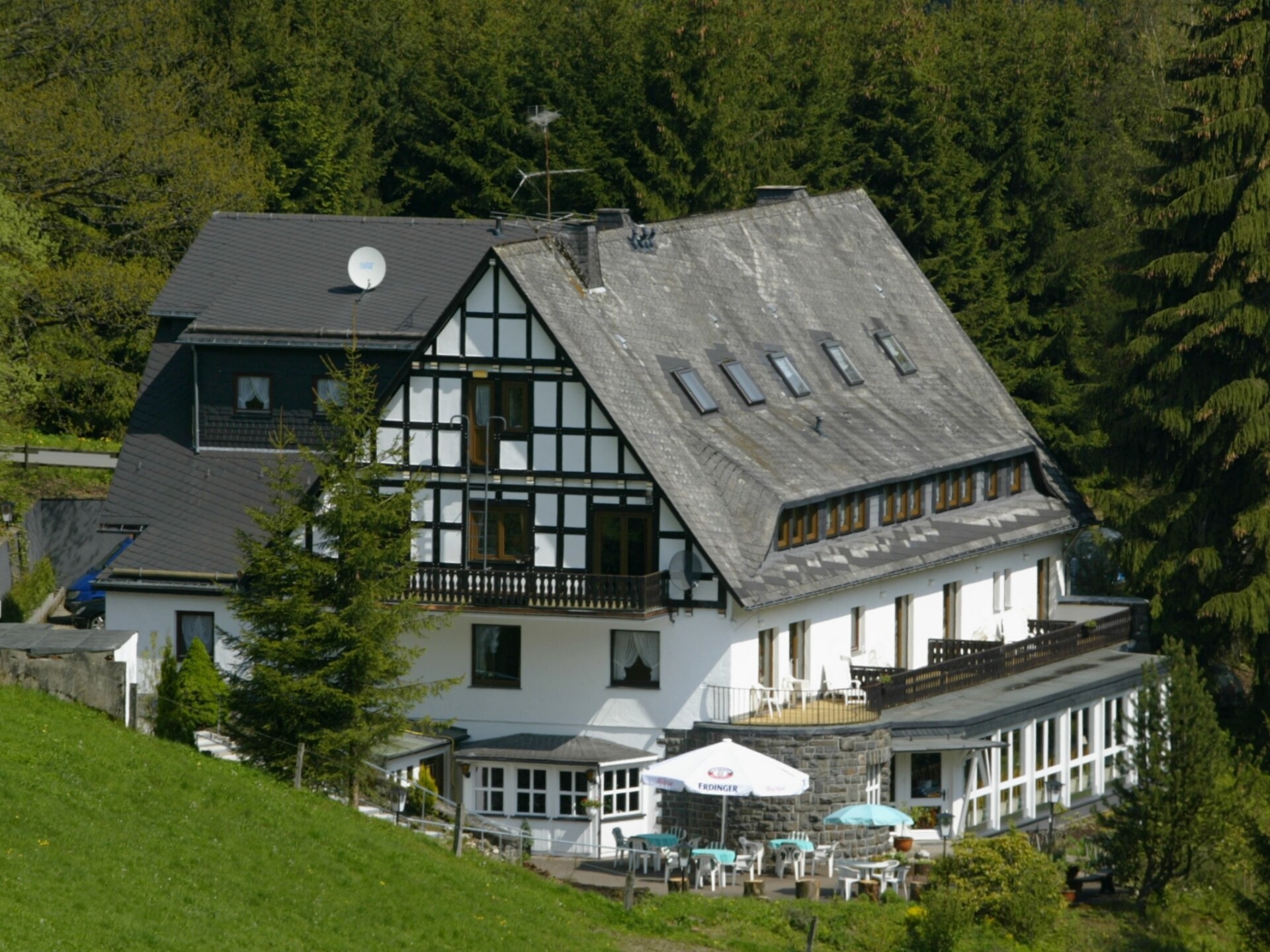 Twee elegante landhuizen in Winterberg voor 50 gasten aan de skipiste - foto 3