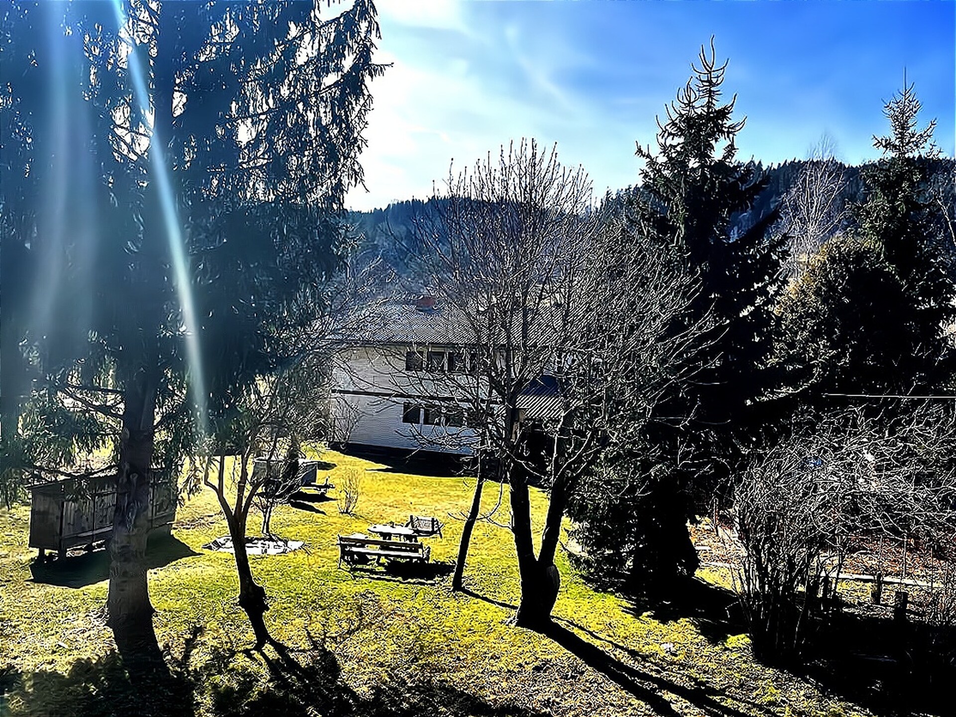 Ruim bosappartement voor 4 personen in Karinthië met balkon en tuin - foto 10