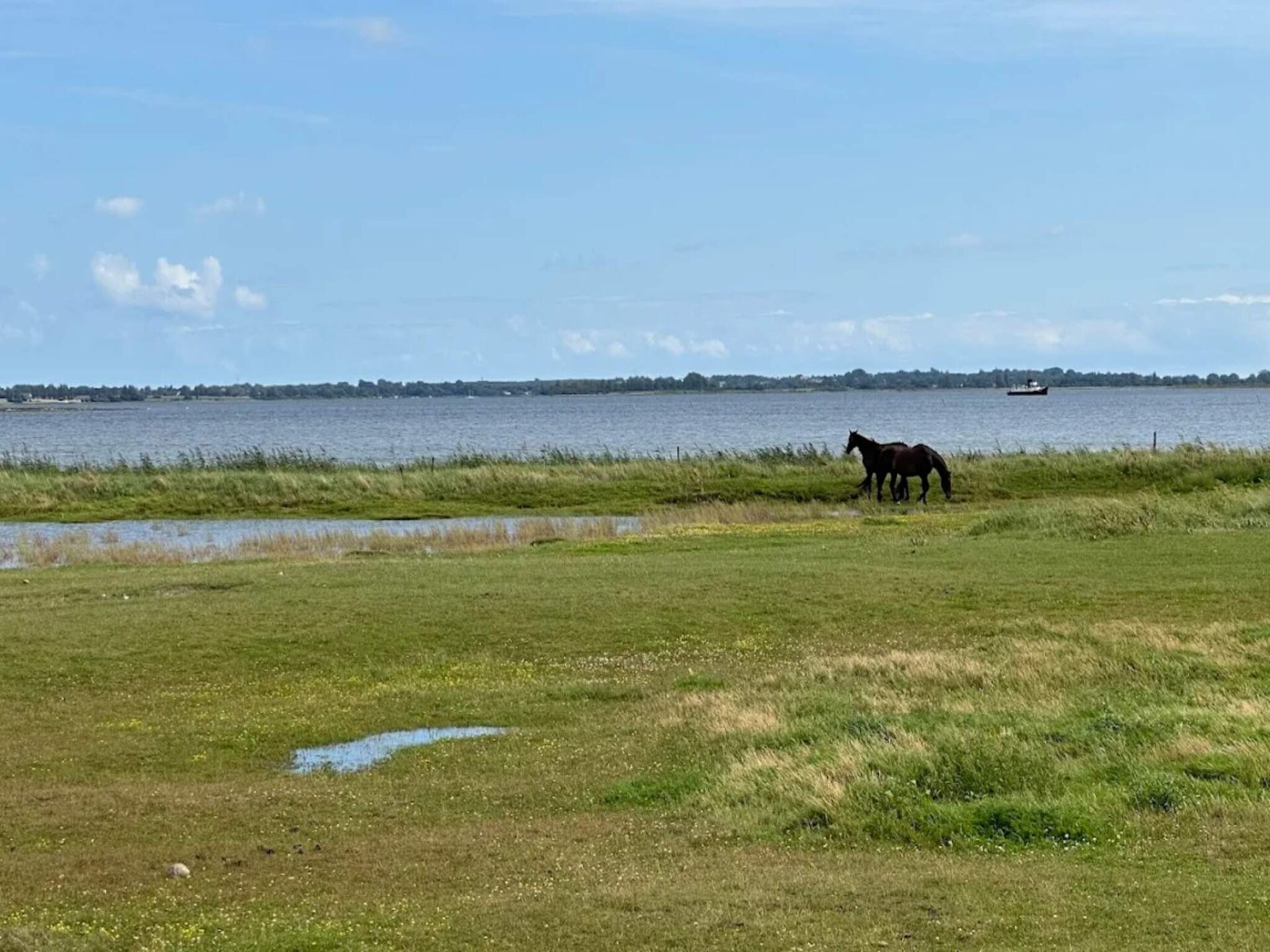 Sfeervol vakantiehuis met eigen bosje in Ærøskøbing - foto 11